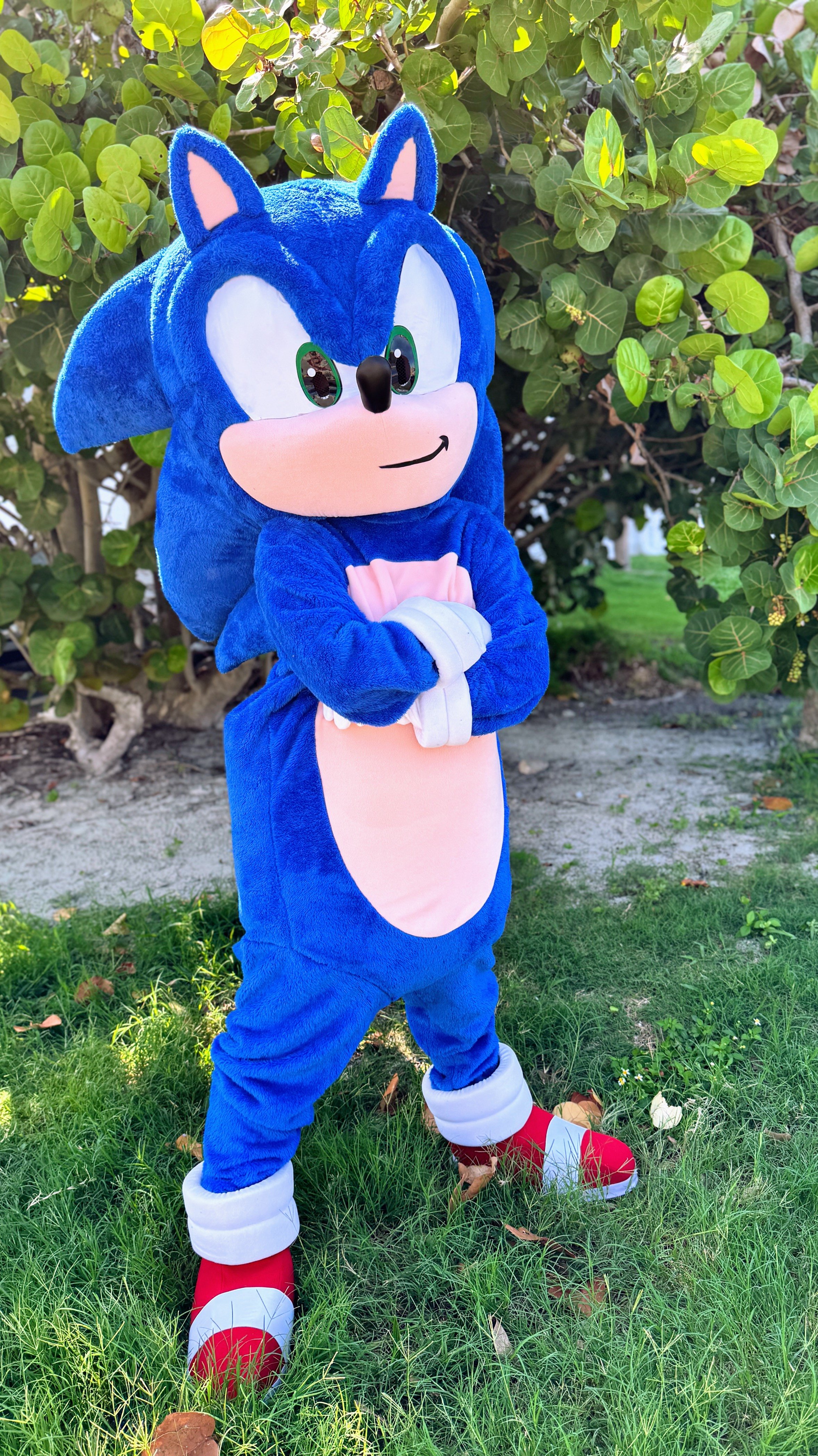Sonic Mascot Birthday Party.JPG