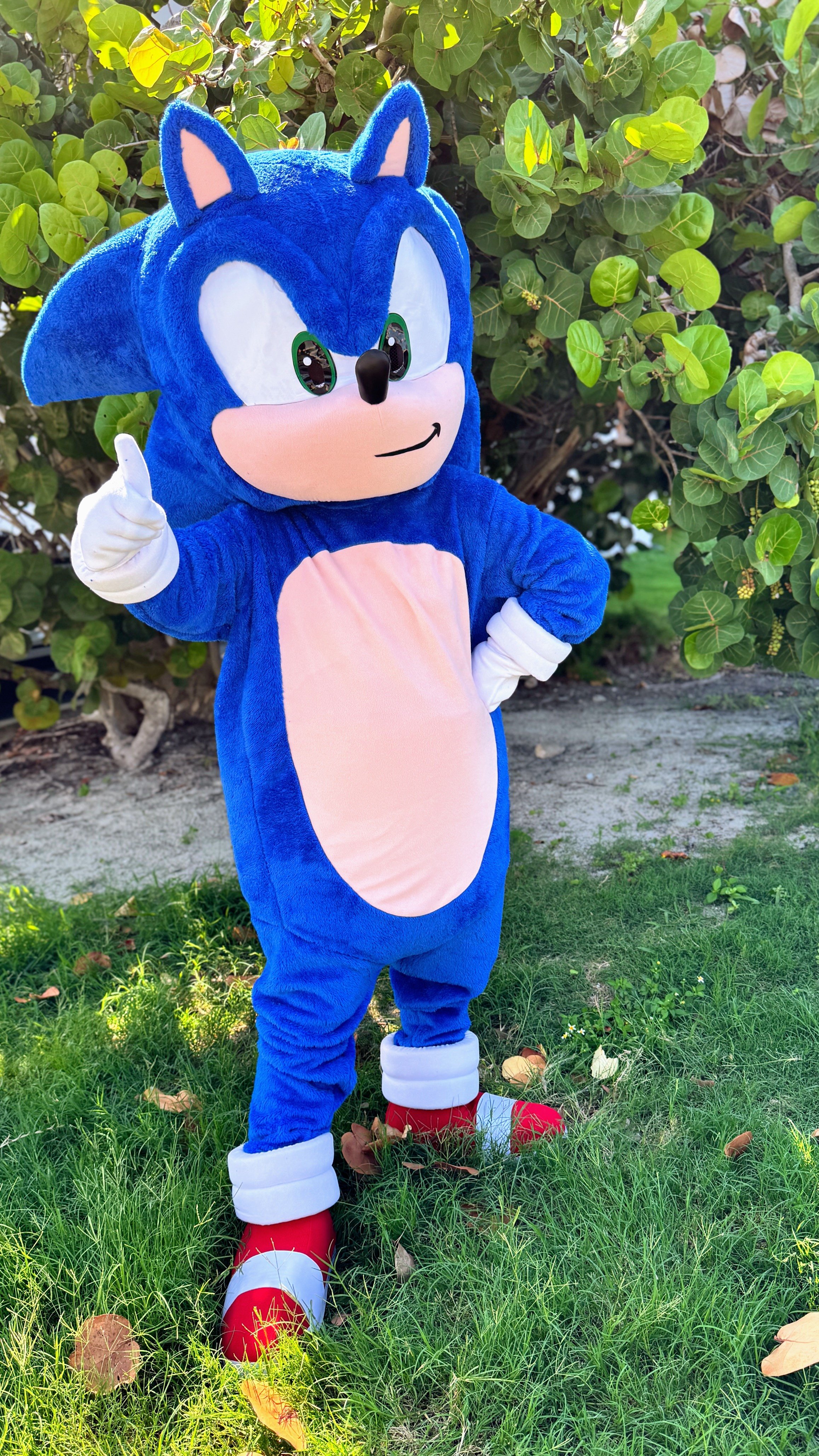 Sonic-Hedgehog-Mascot-Thumbs-Up.JPG