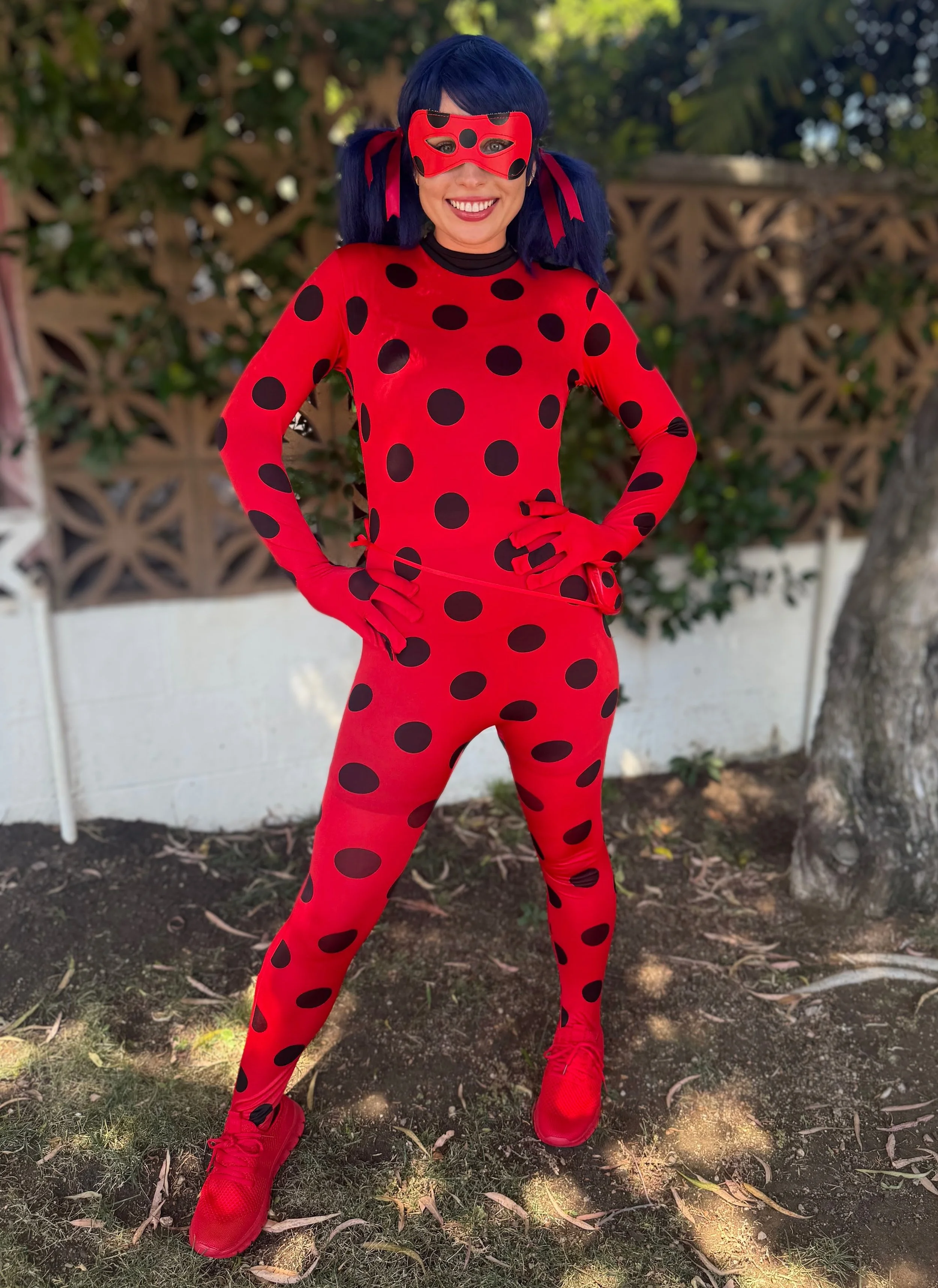 Miraculous-Ladybug-Superhero-Party-Los-Angeles-County.jpg