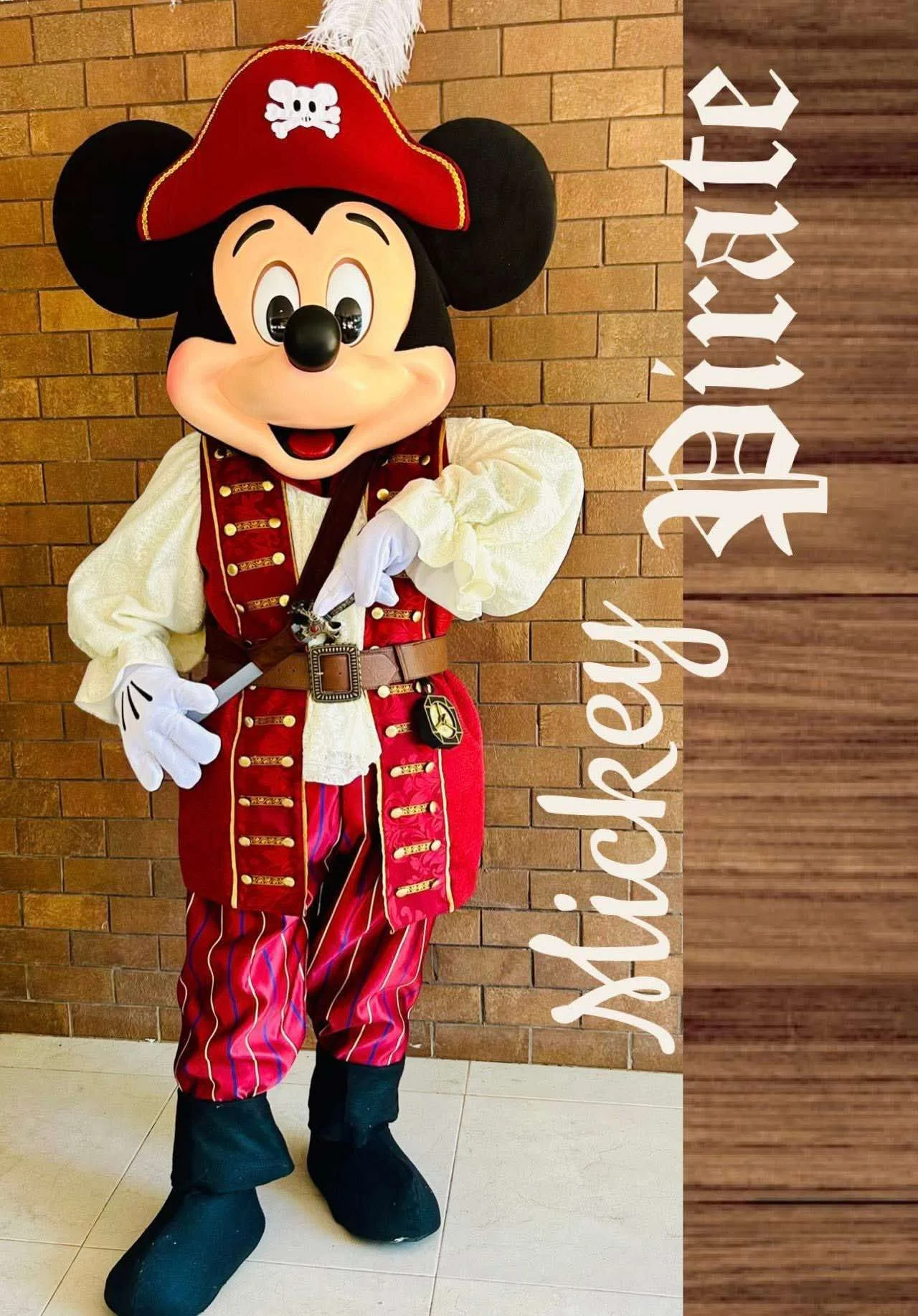 Mickey-Mouse-Pirate.jpg