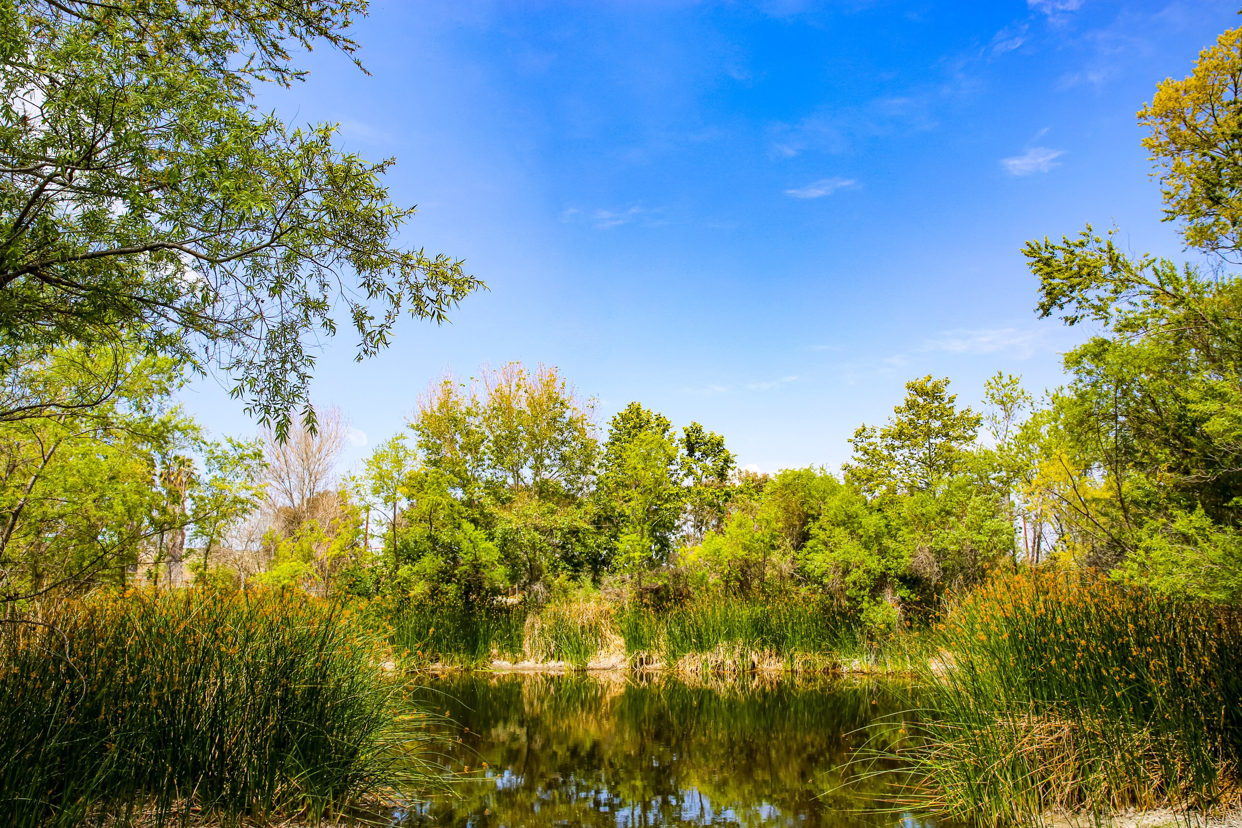 Bixby Marshland Open House