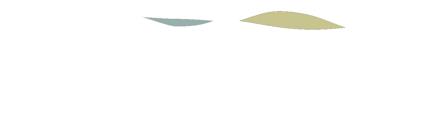Access Executive and Leadership Coaching