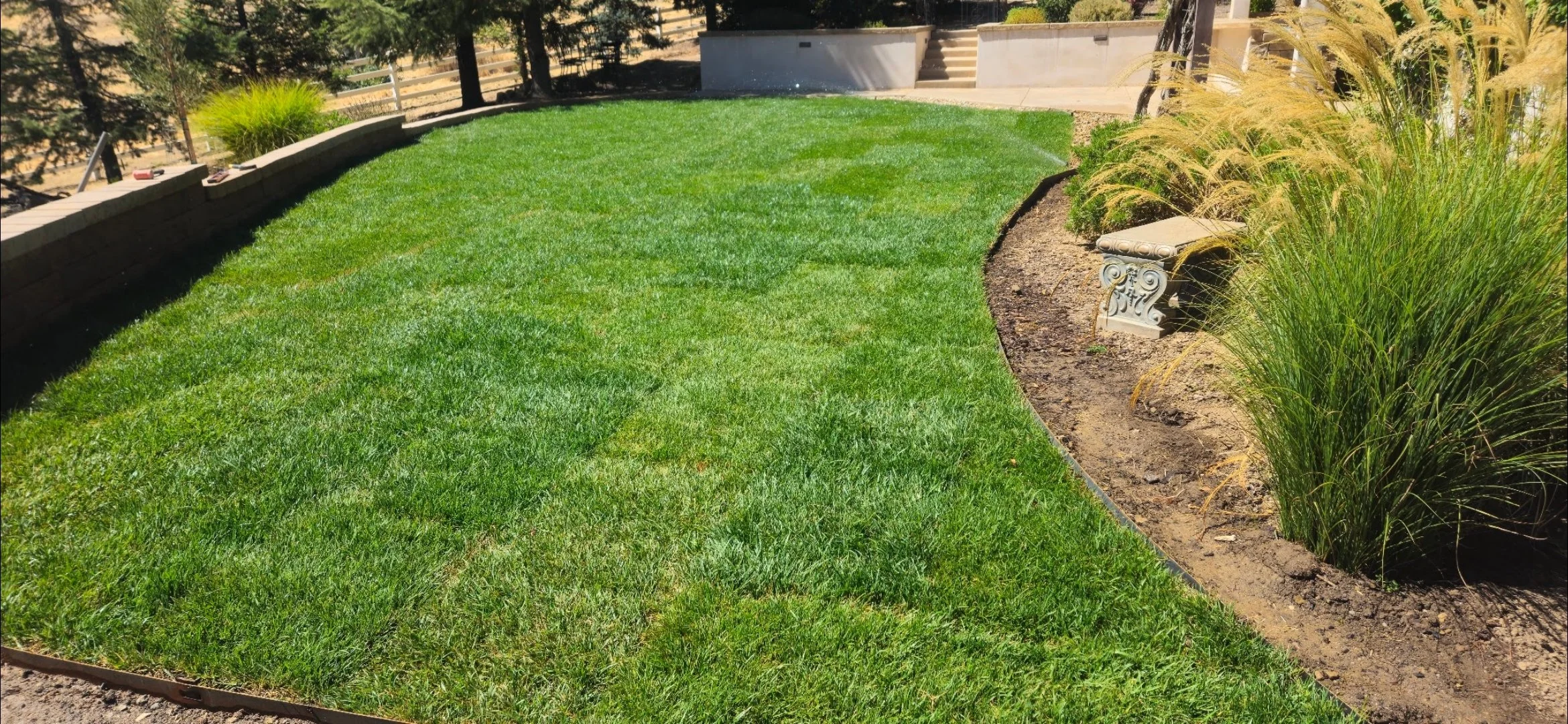 Paso Robles Sod Installation