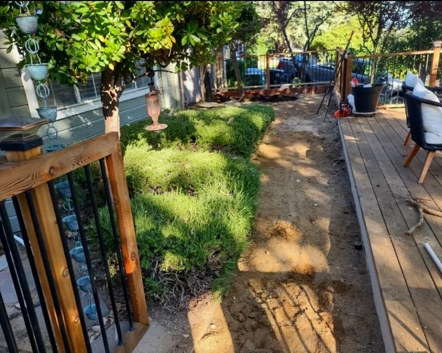 Paso Robles Landscaper