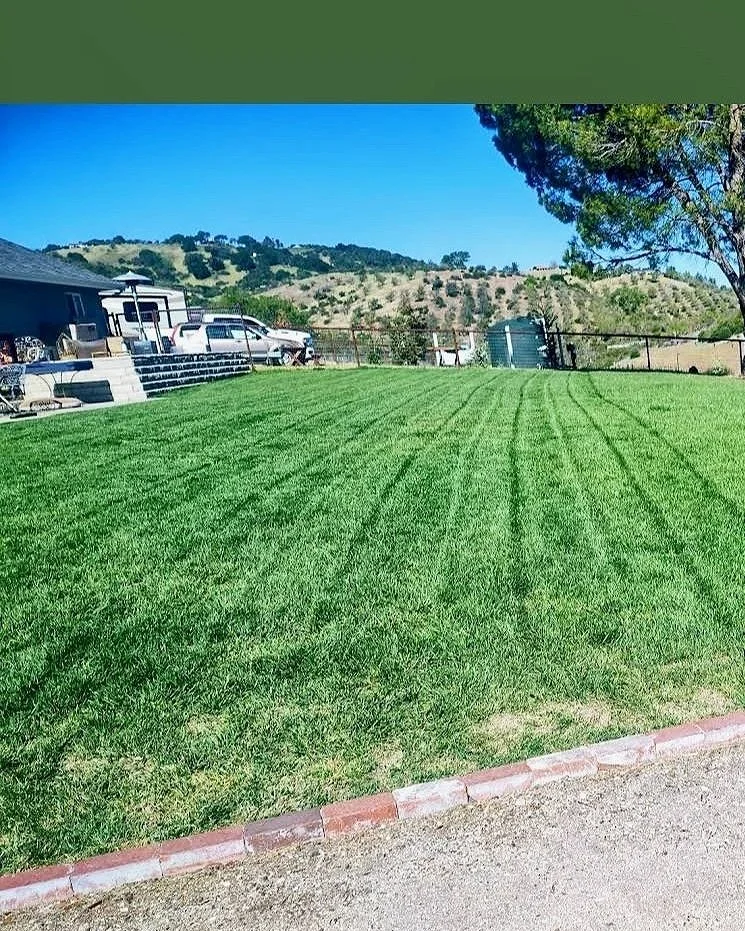 A backyard with freshly turfed green grass, a brick edge, and a view of a hillside with hills and trees in the background. There are parked cars and outdoor furniture near a house on the left side.