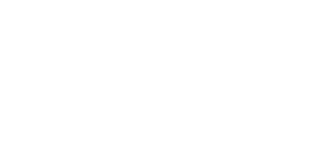 Icon Projects
