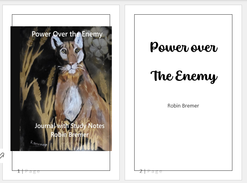 Enforce the Victory: Power Over the Enemy Activation Journal