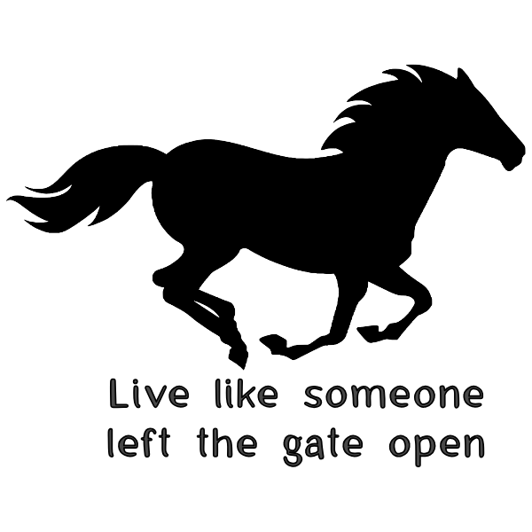 gate open.png