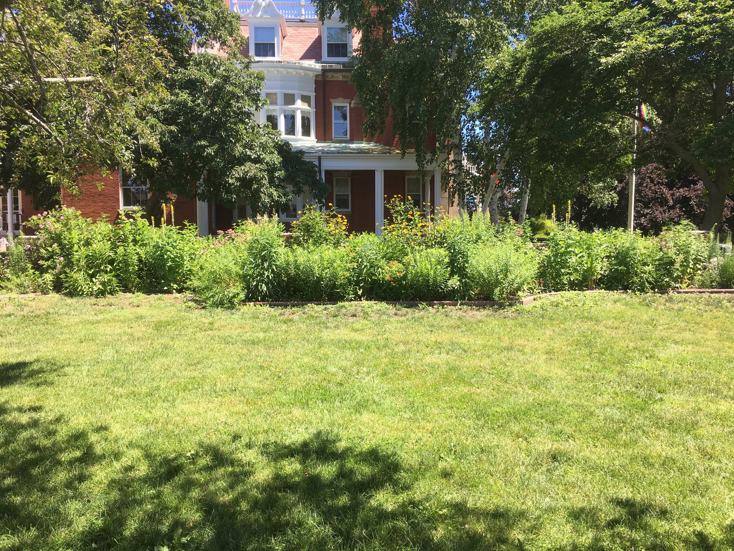 Swampscott Town Hall - Monarch Waystation