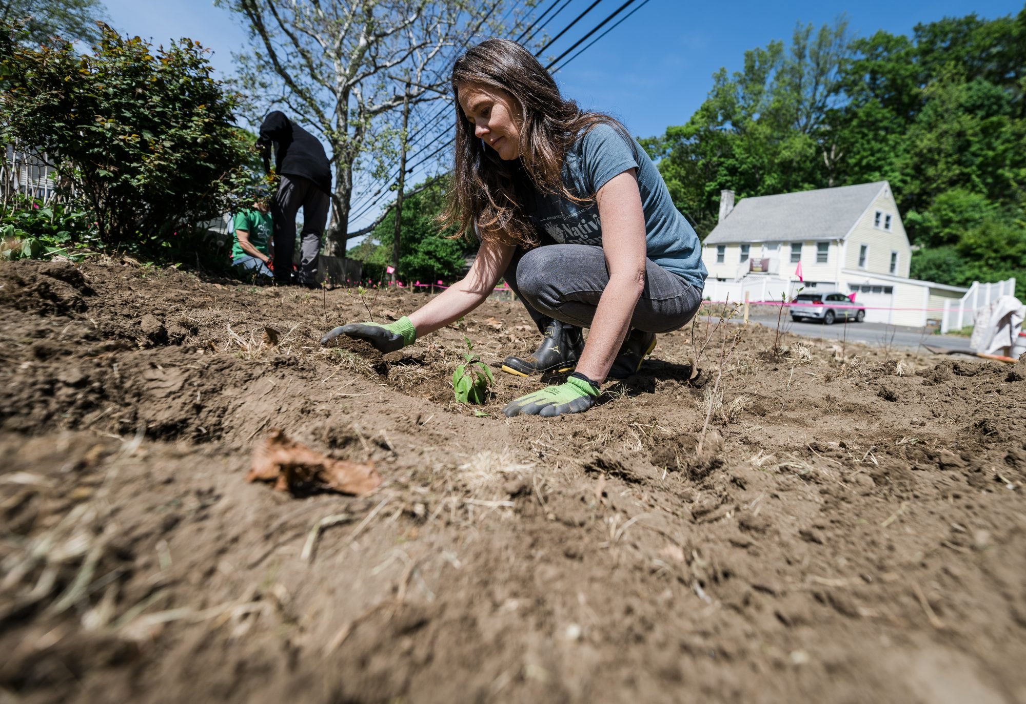 Swampscott MicroForest - the North Shore's first Miyawaki forest - Swampscott, MA