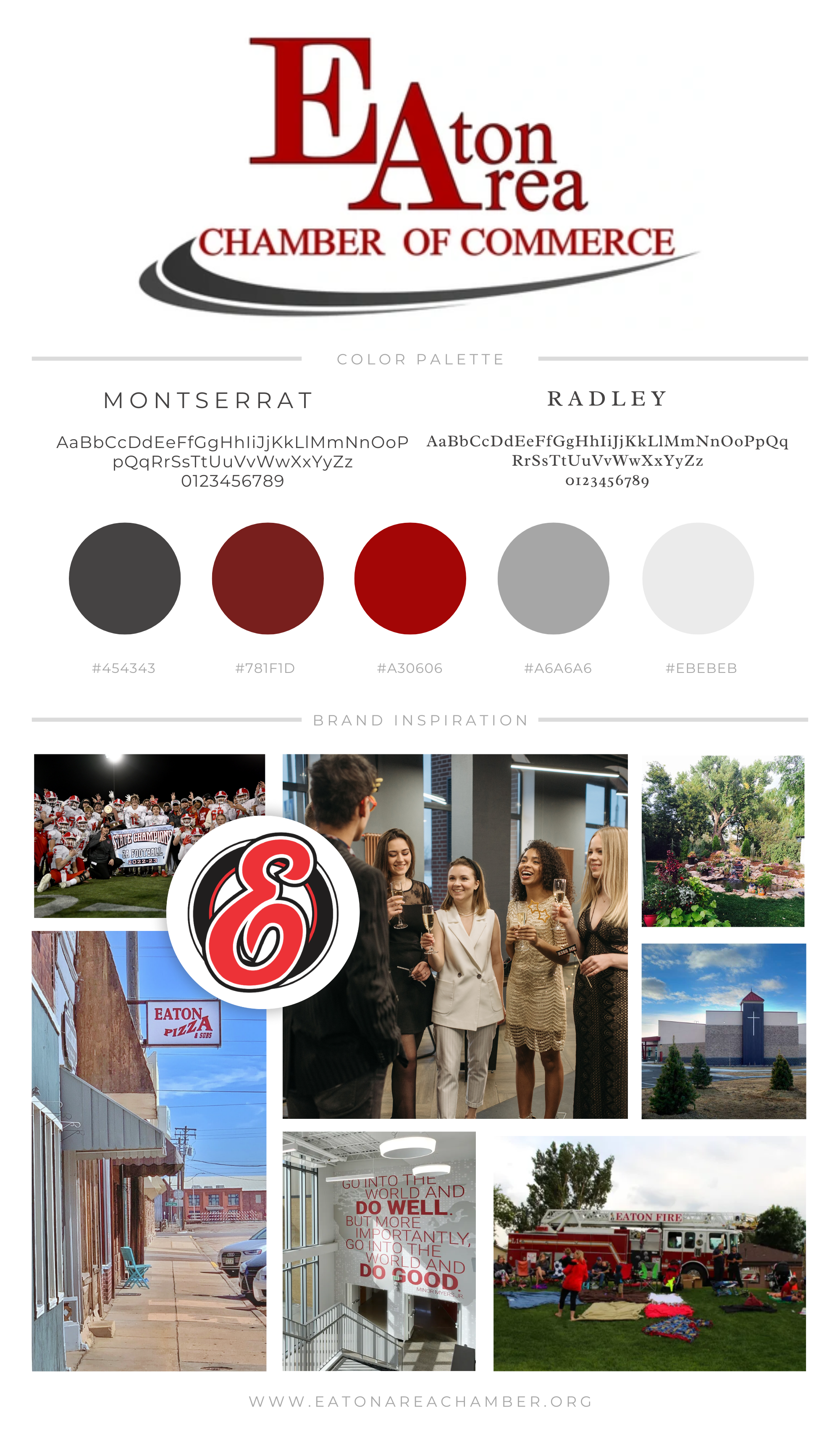 Allegra Pickett - Allegra Interiors LLC - E-Design - Interior Designer - Virtual Assistant - Northern Colorado