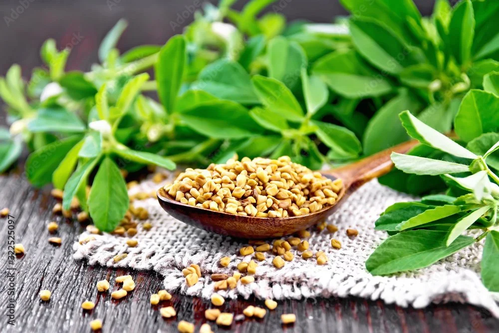 The Herbal Goodness of Fenugreek