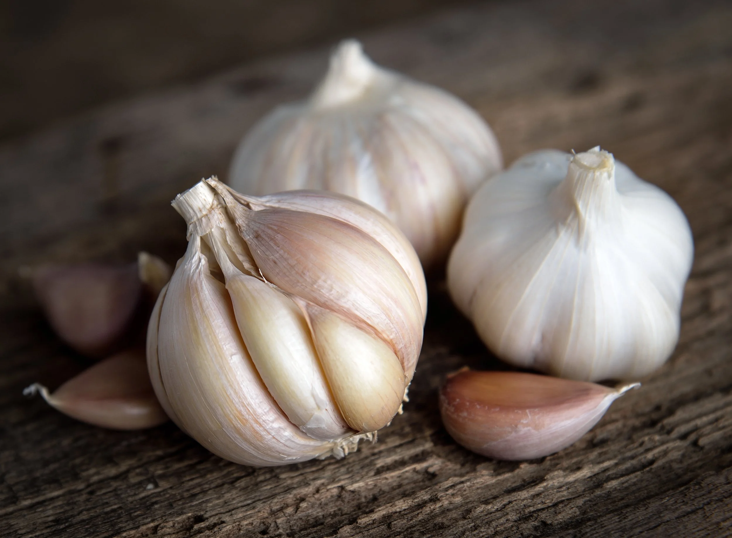 The Bold Benefits of Garlic