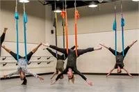 Intro to Aerial Hammock
