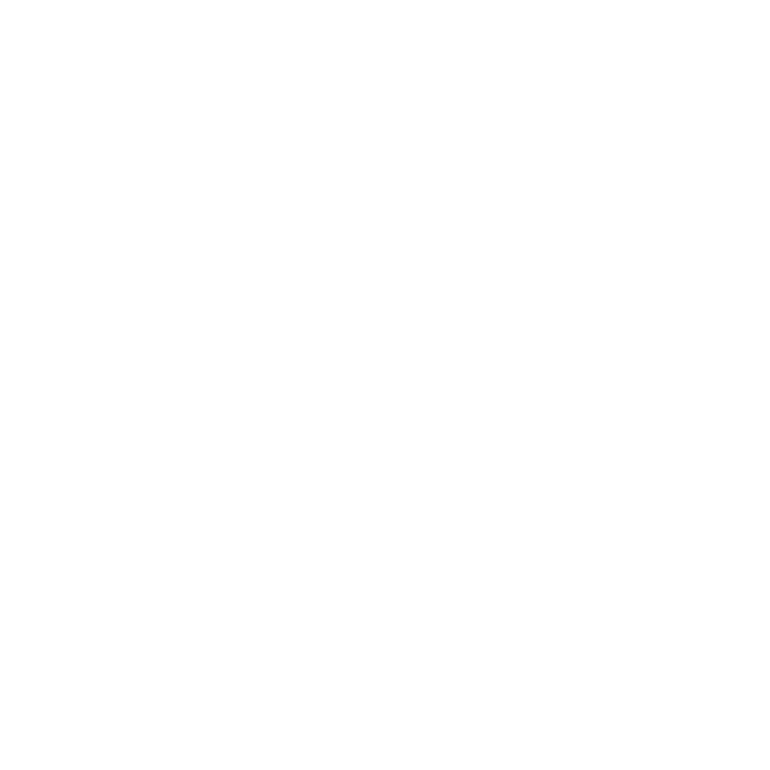 Local Motion Project