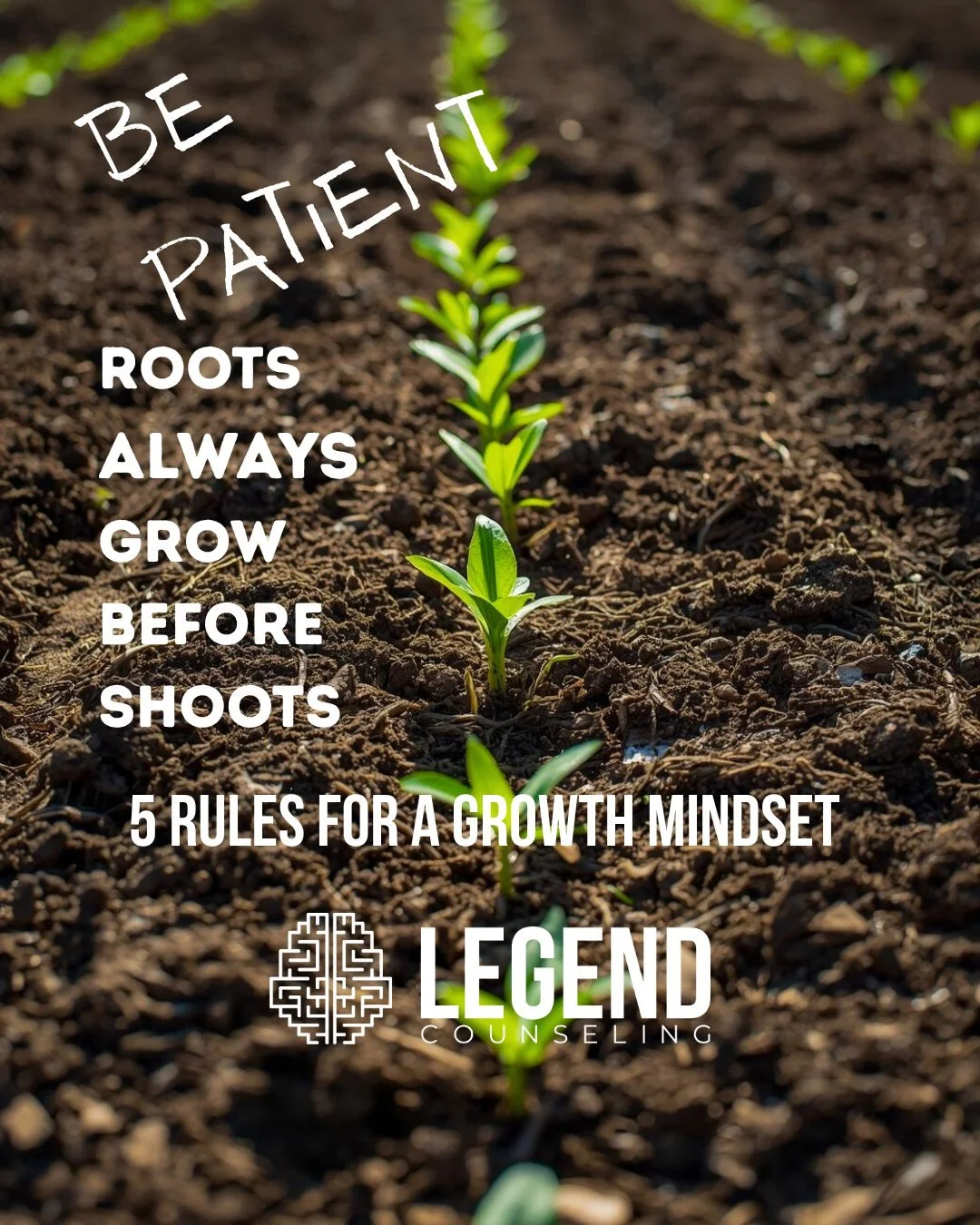 🌱 Be Patient&mdash;Roots Grow Before Shoots 🌱
Growth always begins within. The deepest changes start in your mind and heart before they ever show on the surface. 🌿
Change takes seasons, not days&mdash;but every single day, something is shifting. A