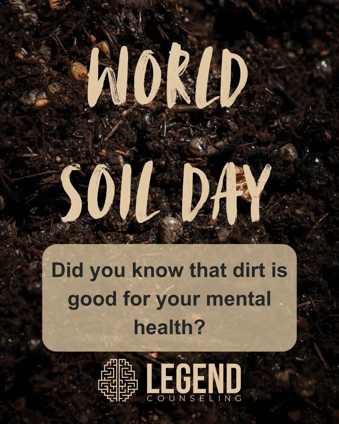 🌱 World Dirt Day! 🌱 
Did you know that getting your hands in the soil can actually boost your mental health? 🧠💚 

Here&rsquo;s why dirt is more than just &ldquo;dirt&rdquo;: 
- Soil microbes like *Mycobacterium vaccae* act as natural antidepressa