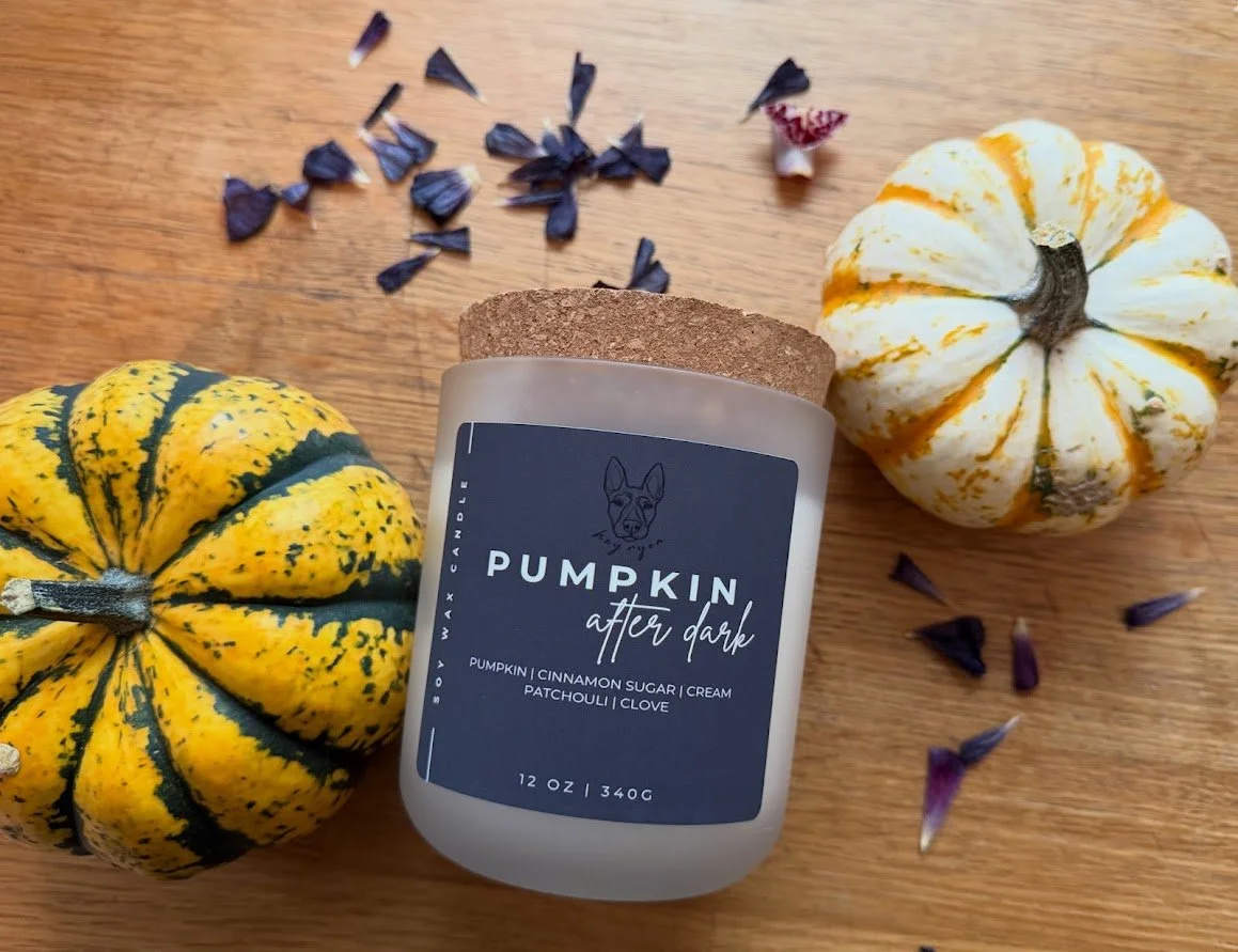 Pumpkin After Dark