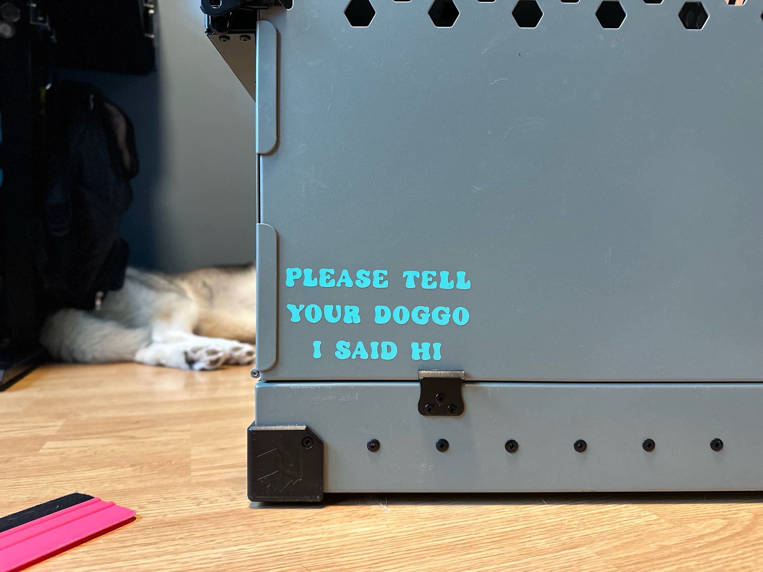 F7A3D605-8E3B-42C7-A69B-24468B375790.jpeg