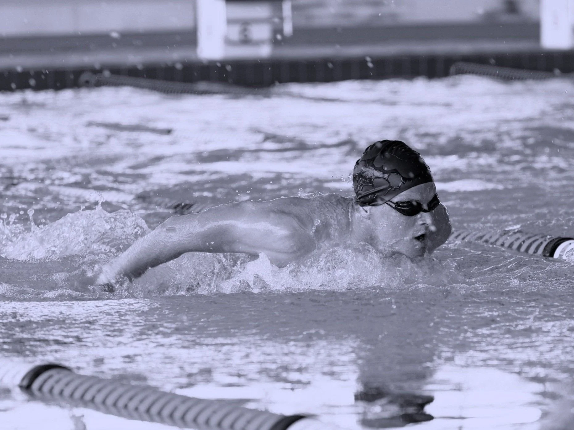 swimmer-swimming-in-the-pool-2021-08-28-16-45-49-utc.jpg