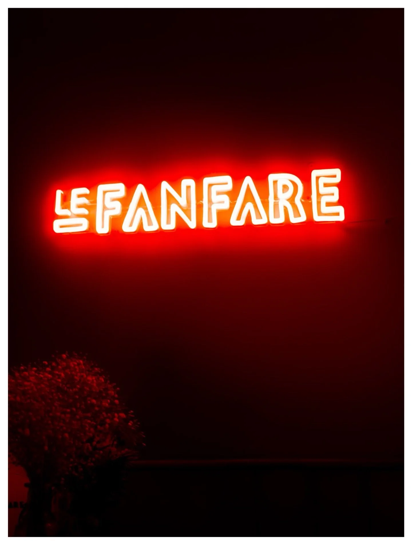 06/07 - Red Shines.

#ChromaticAnthology #Red #Photography