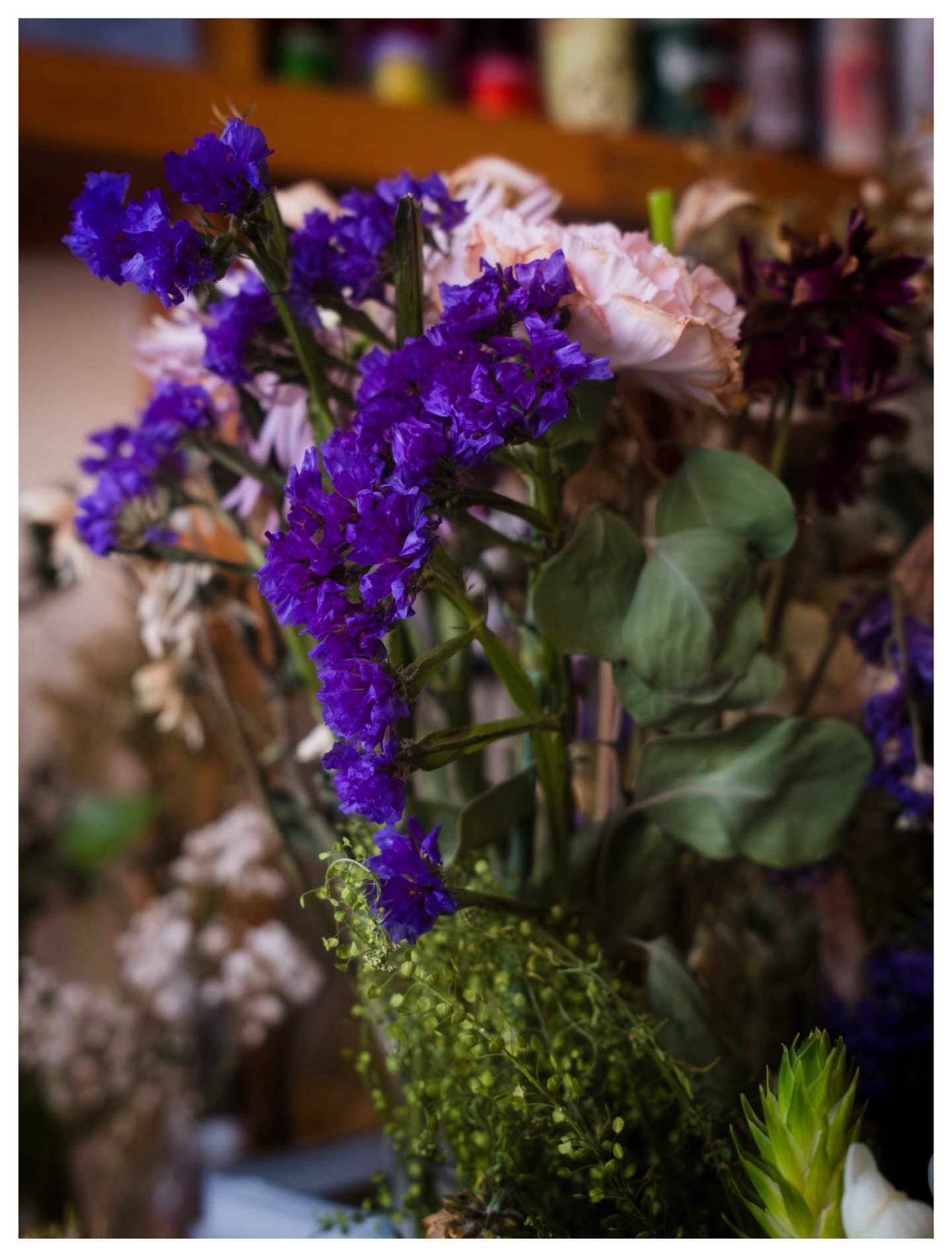 01/07 - Purple Is A Detail.

#ChromaticAnthology #Green #StreetPhotography #fujifilm #x100vi @fujifilmx_us @fujixseries