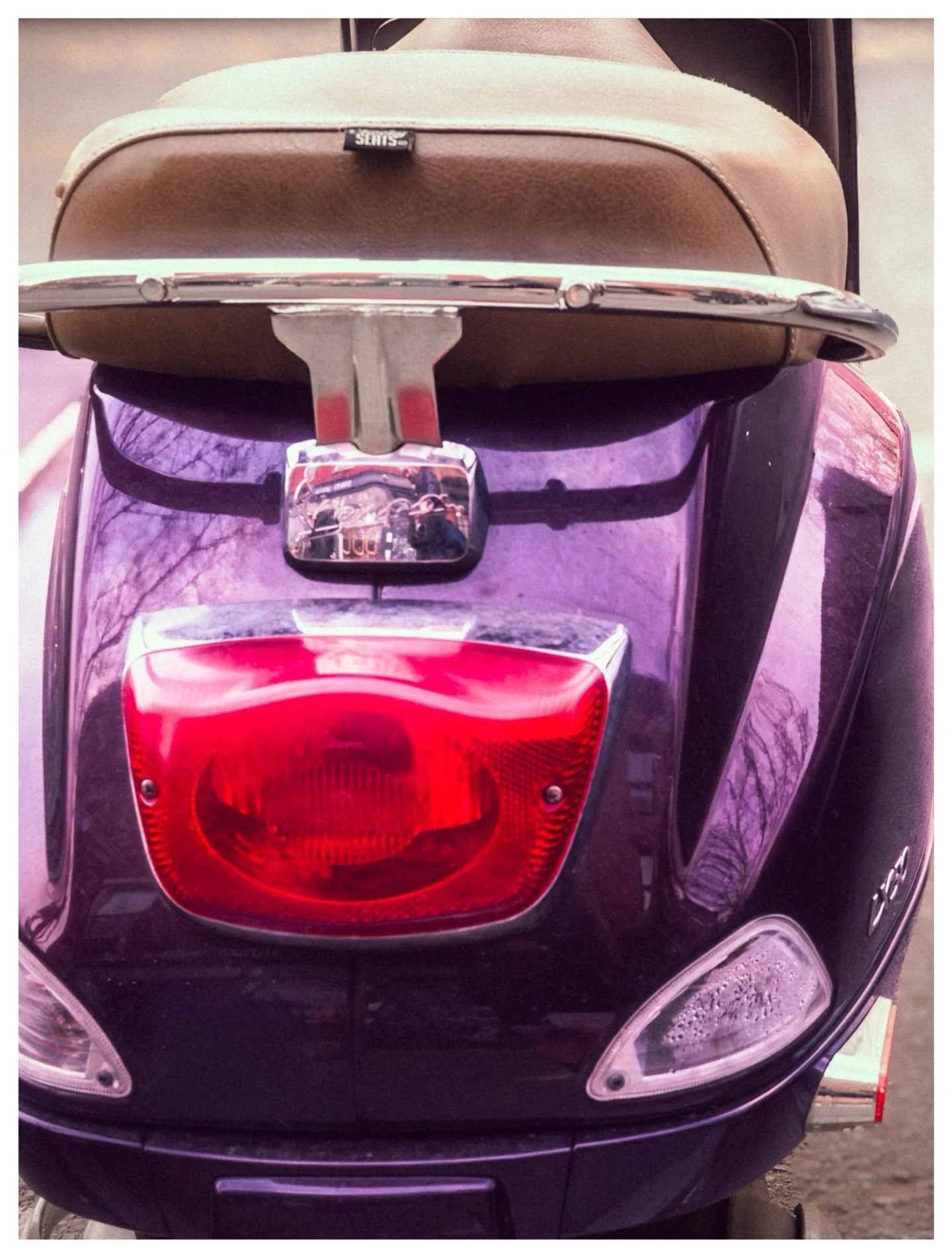 03/07 - Purple Takes You Somewhere.

#ChromaticAnthology #Green #StreetPhotography #fujifilm #x100vi @fujifilmx_us @fujixseries