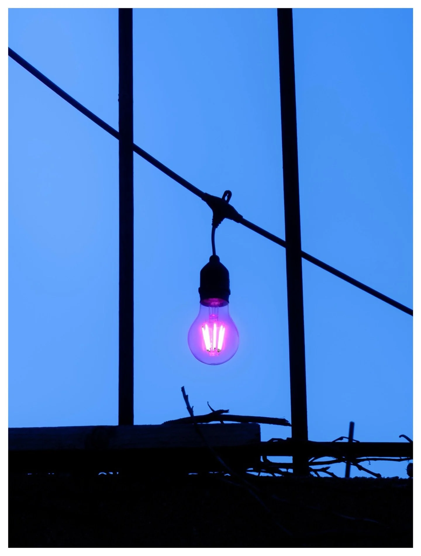 06/07 - Purple Is In The Way.

#ChromaticAnthology #Green #StreetPhotography #fujifilm #x100vi @fujifilmx_us @fujixseries