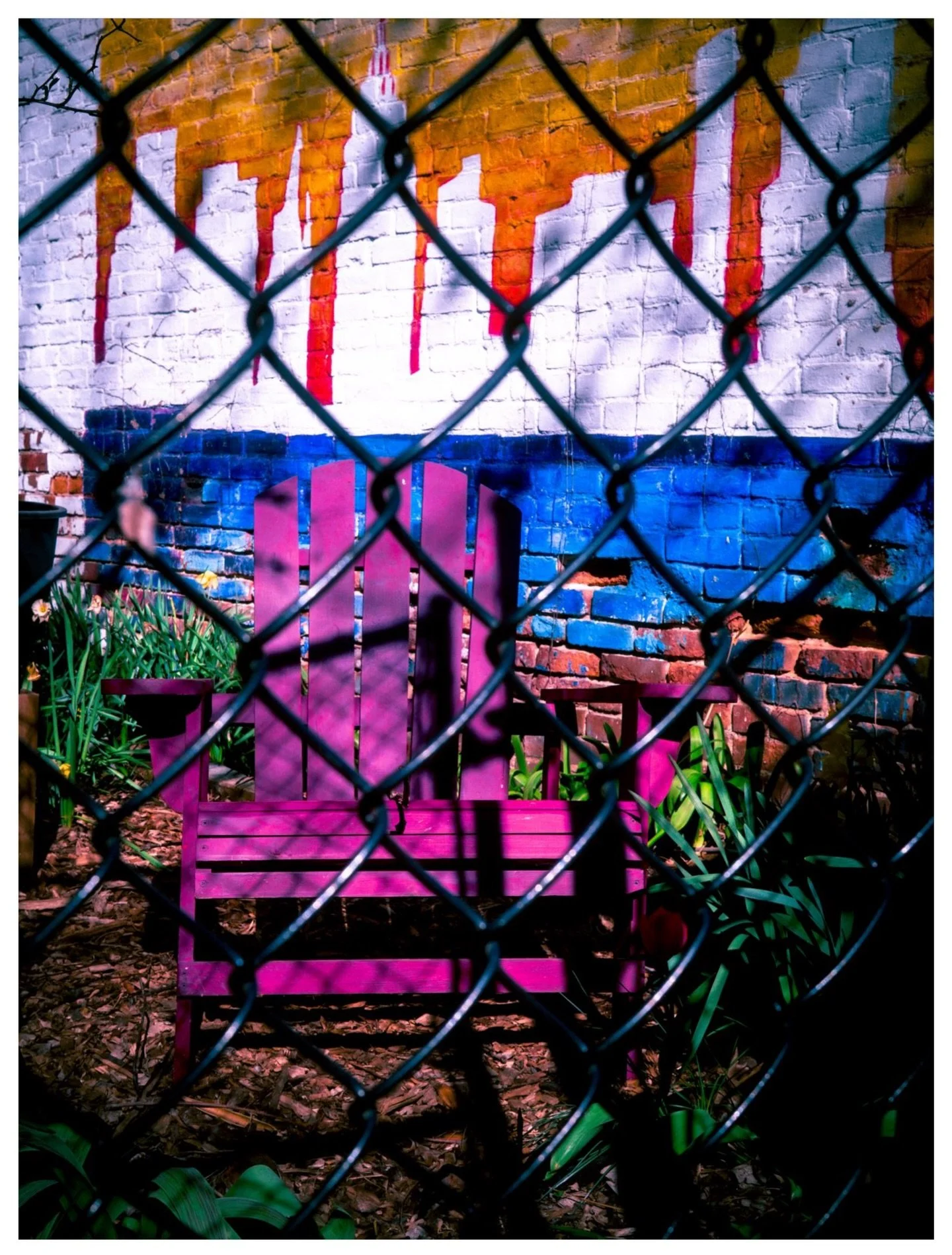 07/07 - Purple Is In My Mind.

#ChromaticAnthology #Green #StreetPhotography #fujifilm #x100vi @fujifilmx_us @fujixseries @lightroom