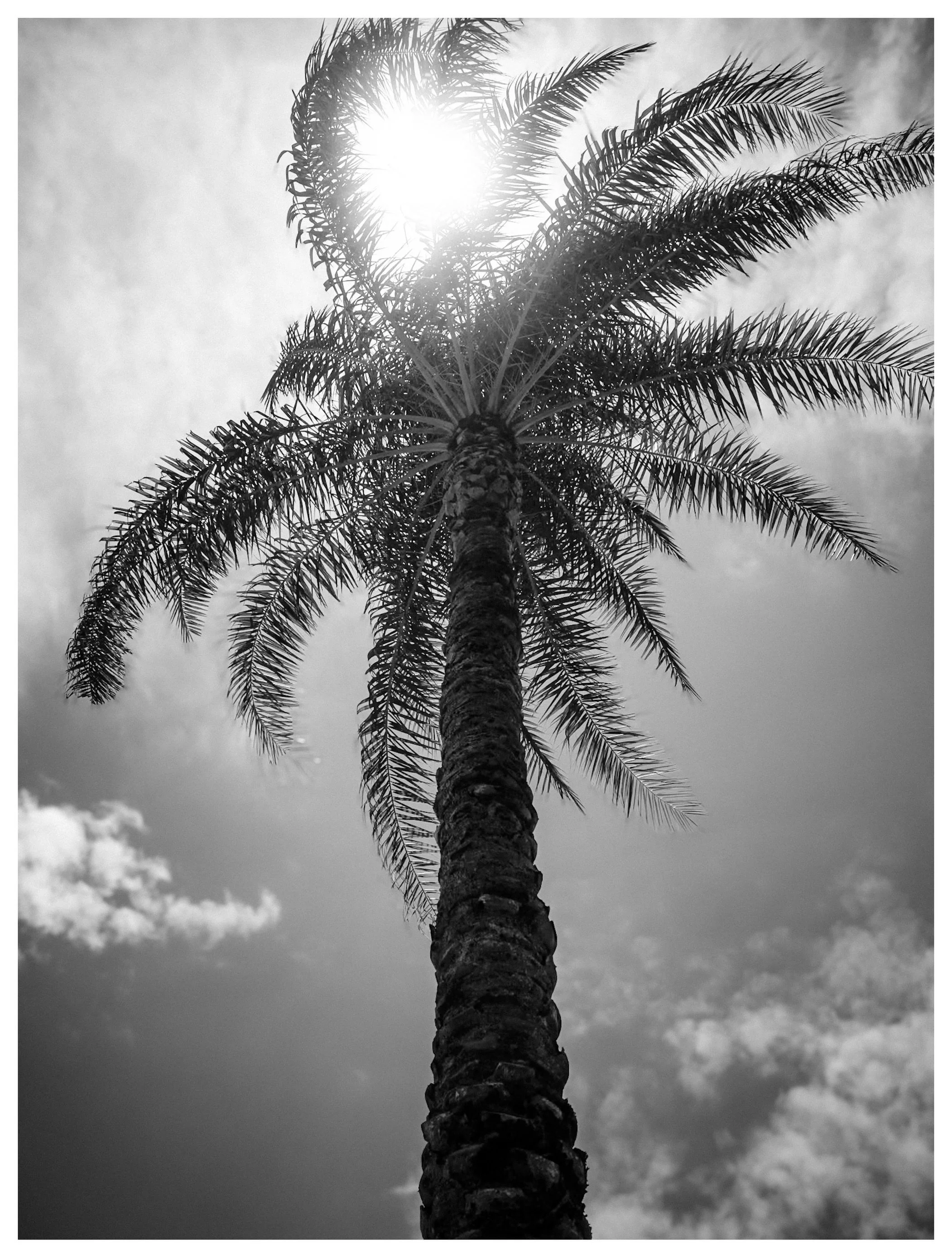 #DailyDetails 6.24

#StreetPhotography #fujifilm #x100vi @fujifilmx_us @fujixseries @lightroom