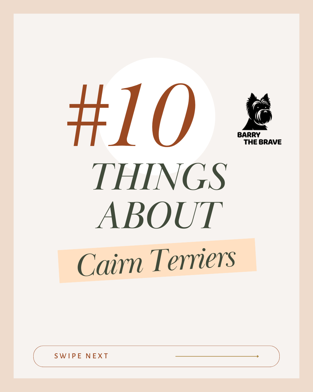 Most common questions about Cairn Terriers