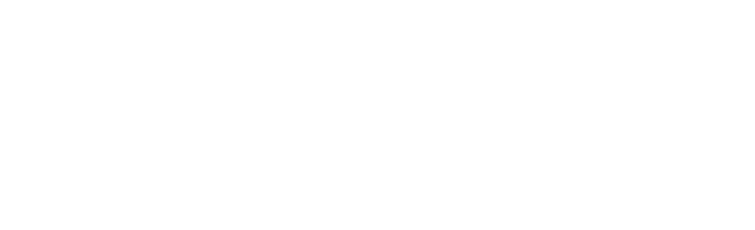 CLASS: The NYC Experience