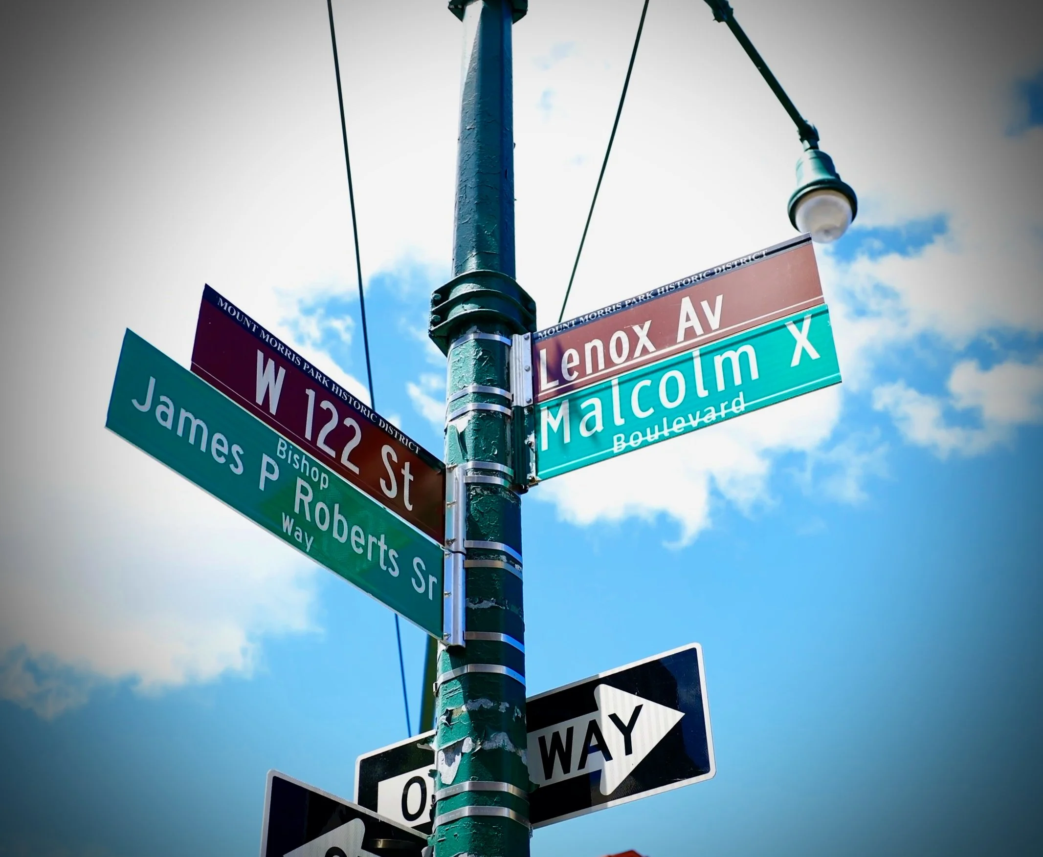 aspire Harlem Design Tour (Photo Credit Emmai Alaquiva) - 73.jpeg