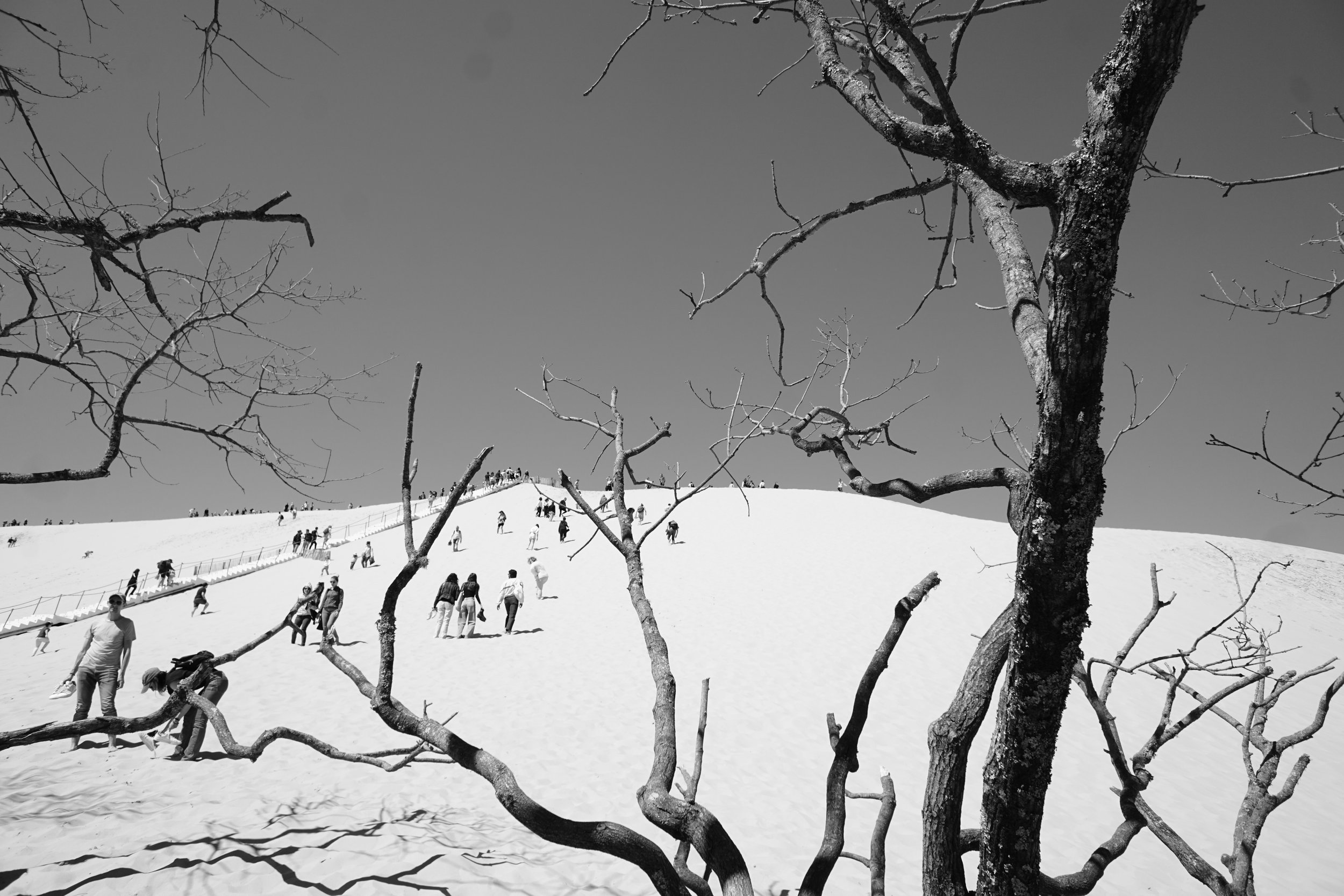 DSC07013.jpeg