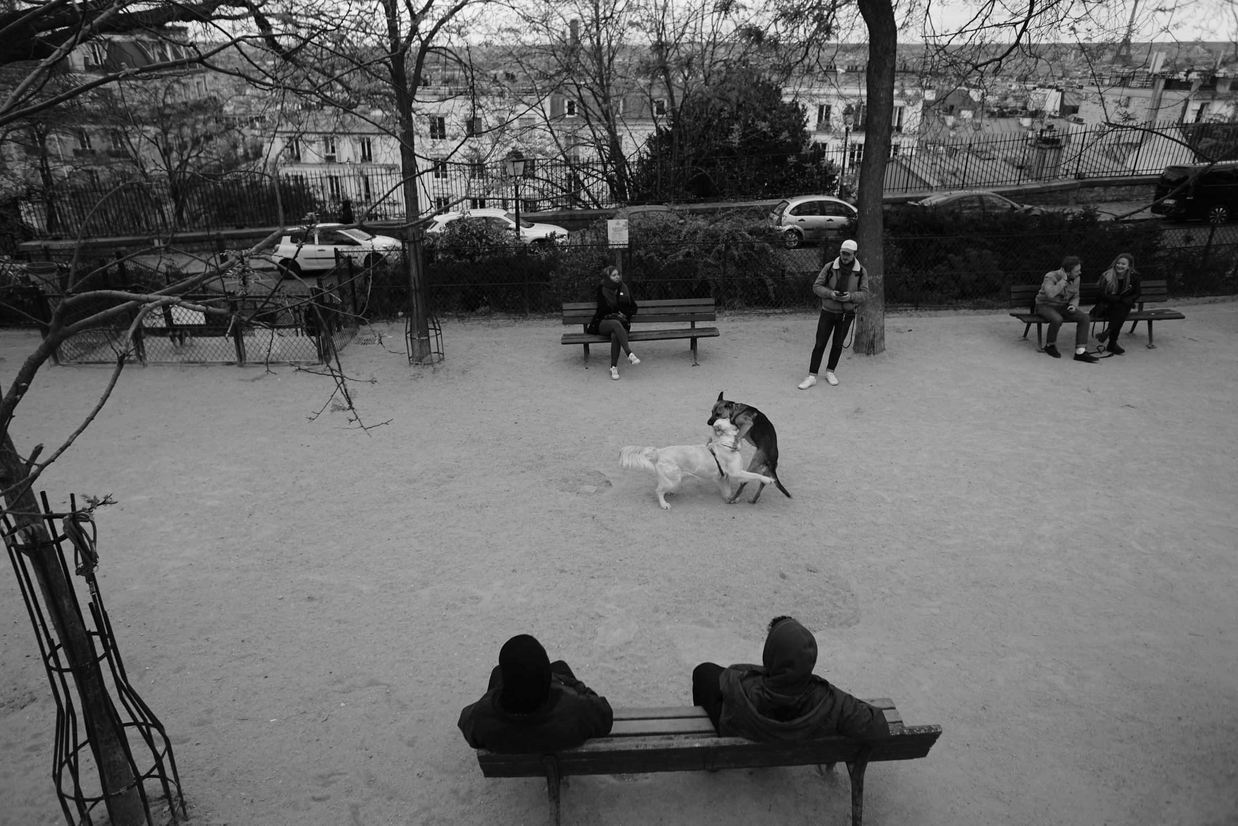 DSC08422.jpeg