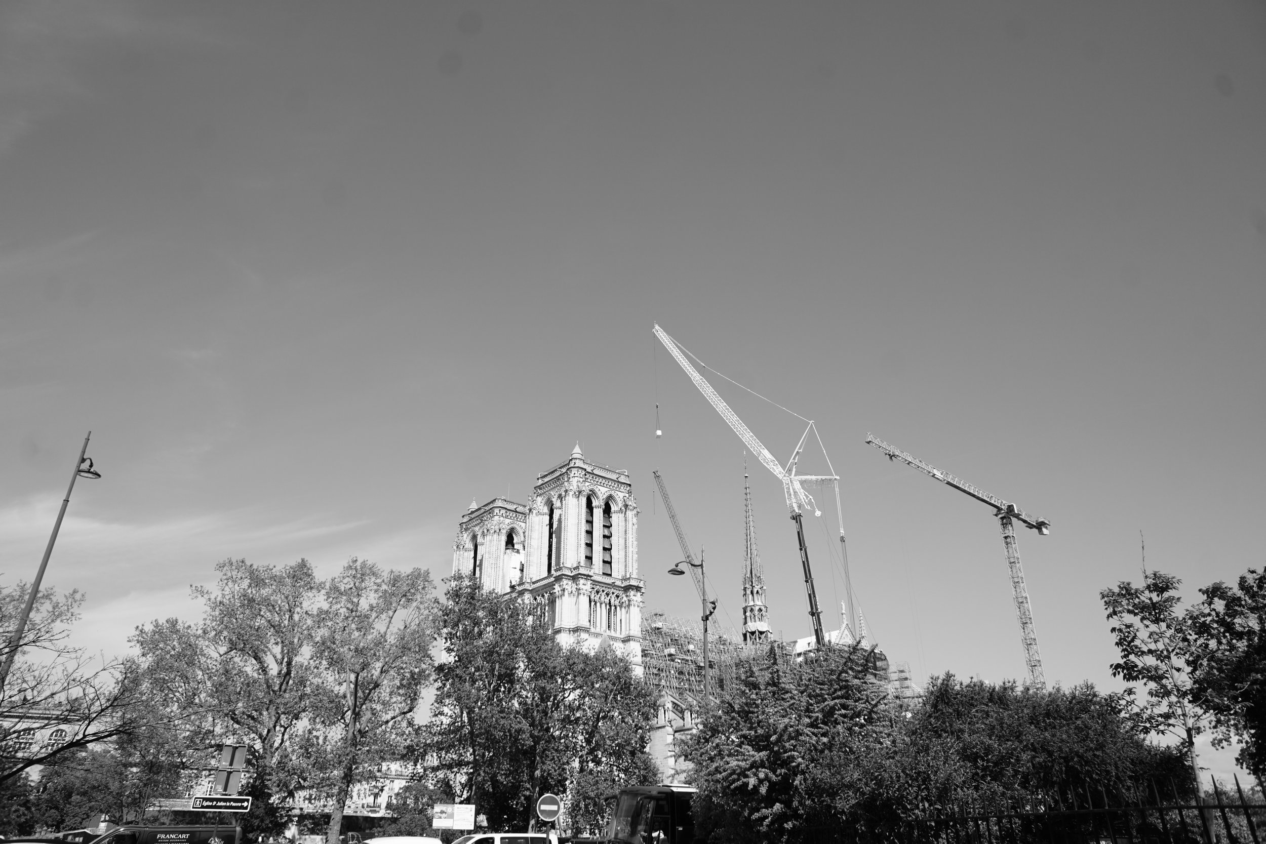 DSC07677.jpeg