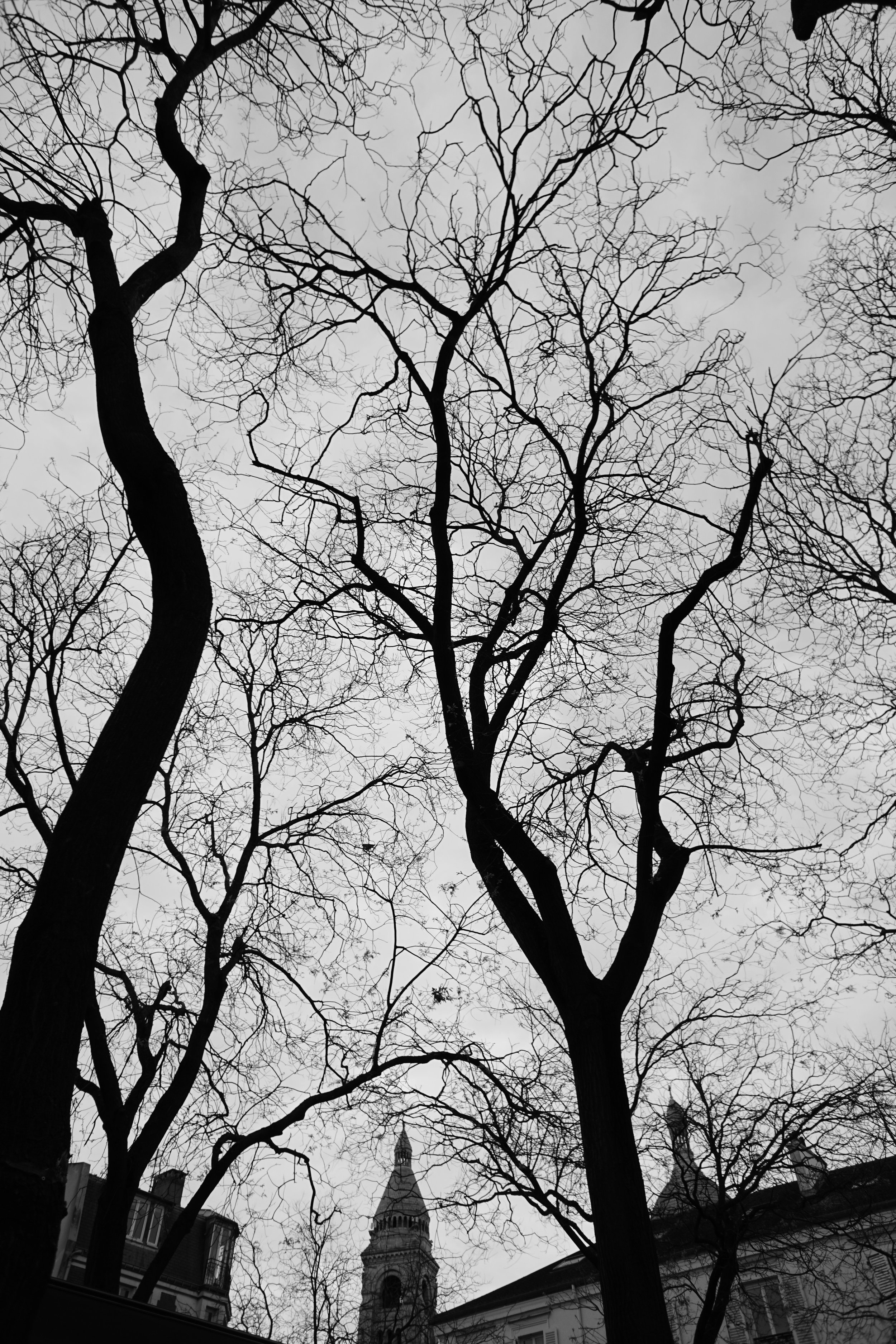 DSC08410.jpeg