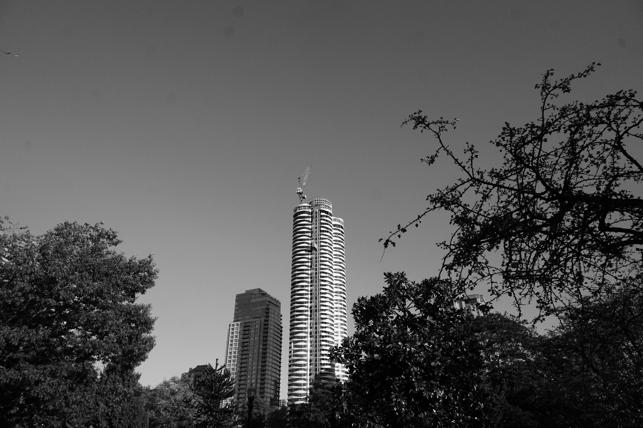 DSC00885.JPG