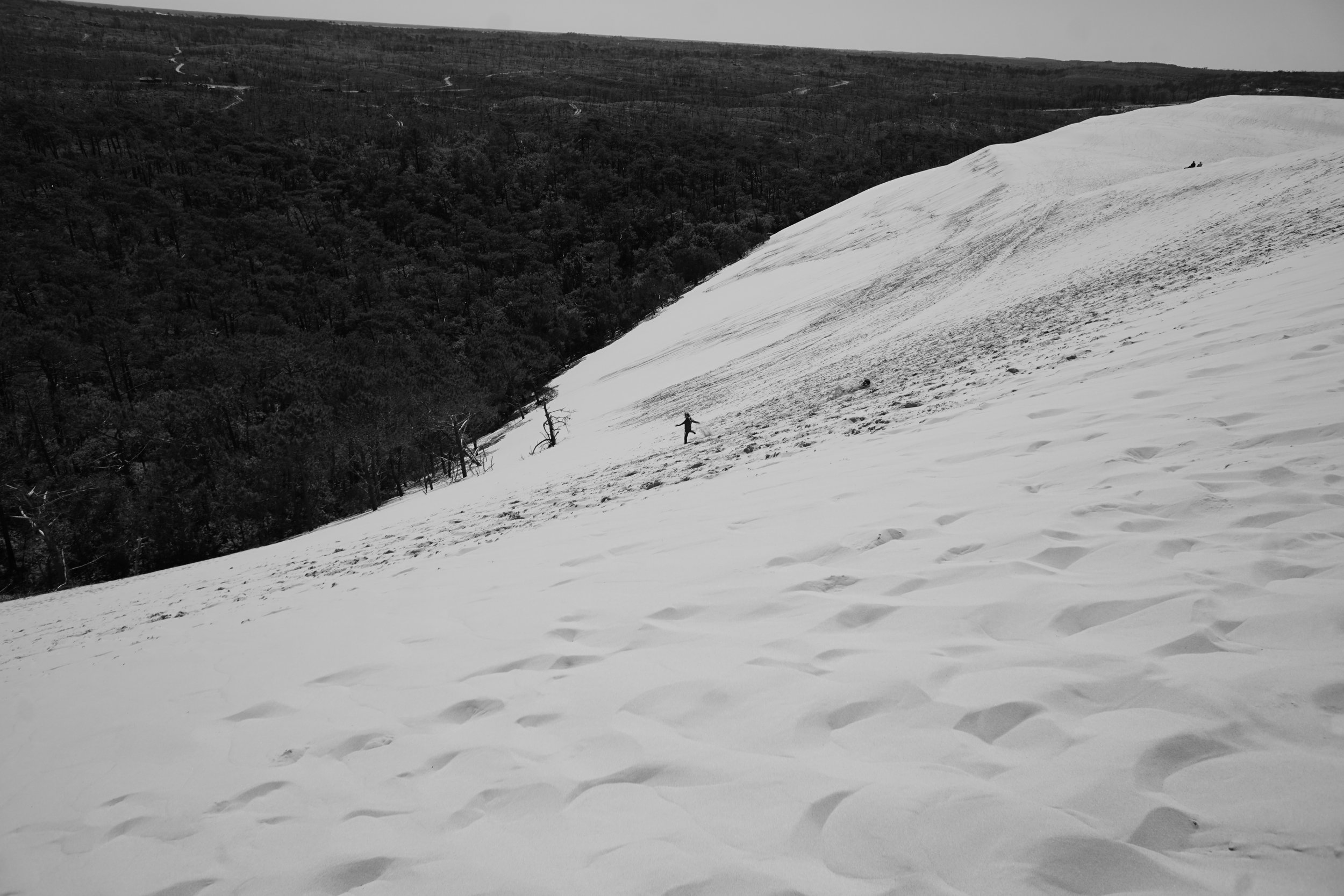 DSC07153.jpeg