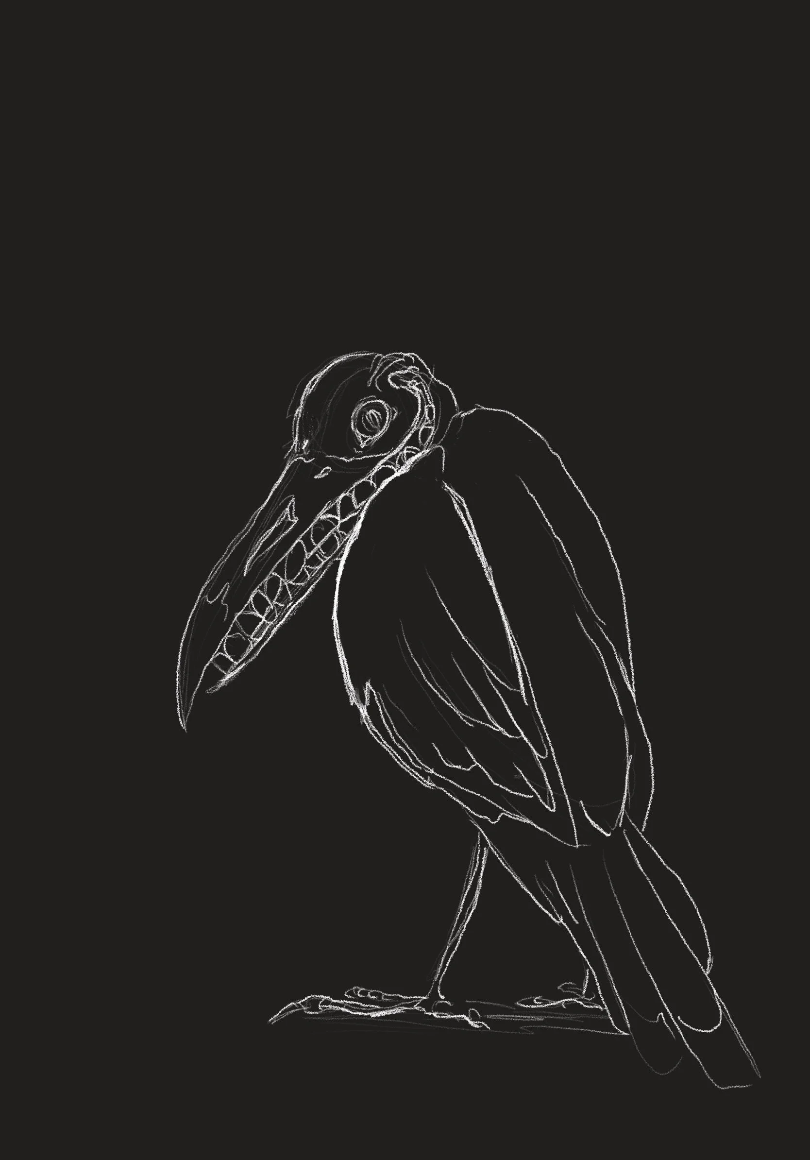 Untitled_Artwork 16.jpg