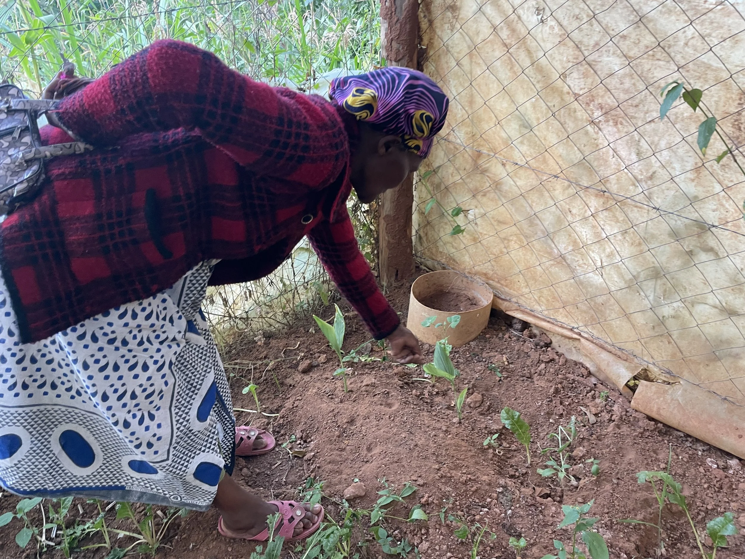“My some kind of today is trailing behind my grandma as she walks around her greenhouse.”
Anastasia Onyango, Photography, 15 February 2024, "Following Her Footsteps"