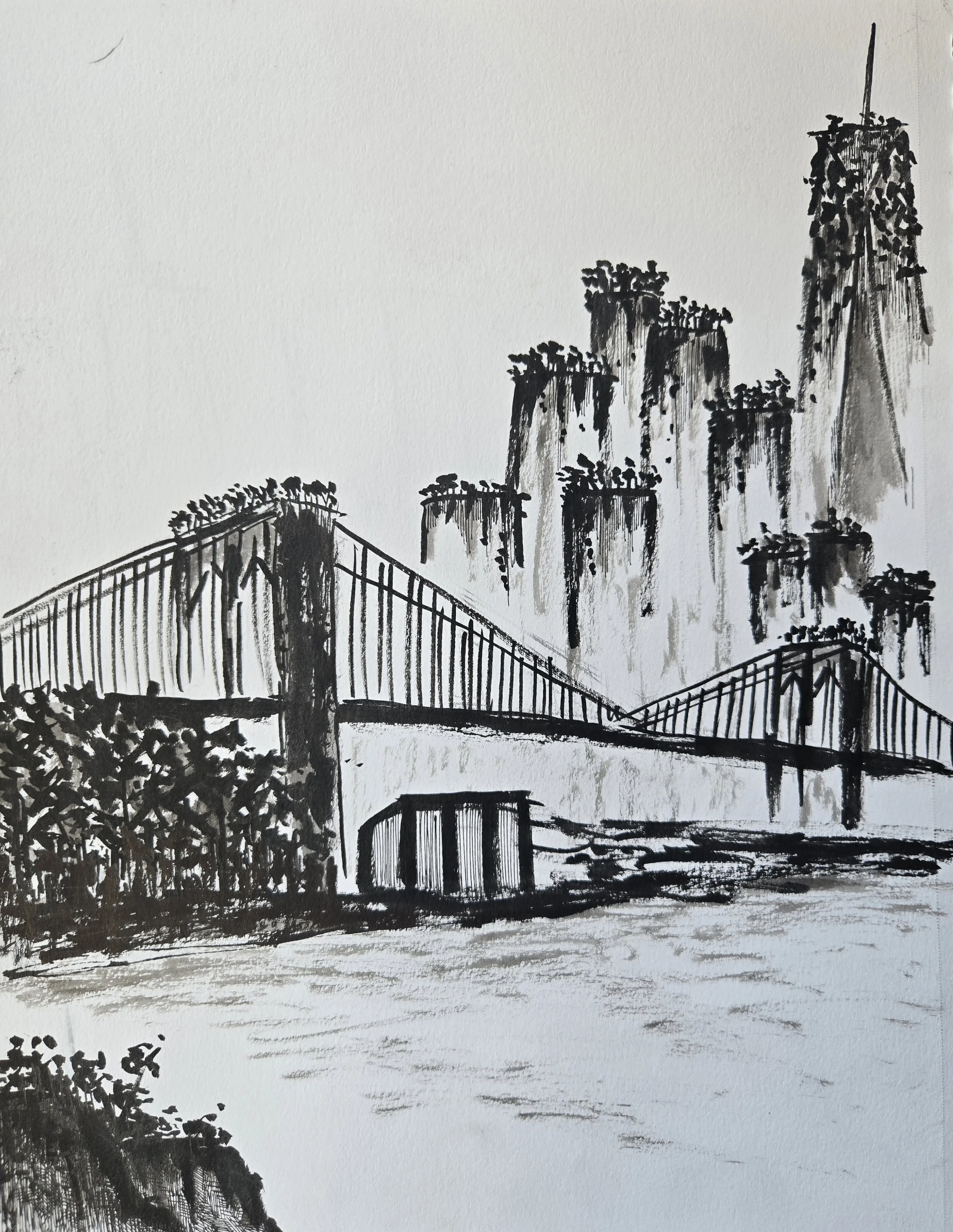 20260907_123659.jpg