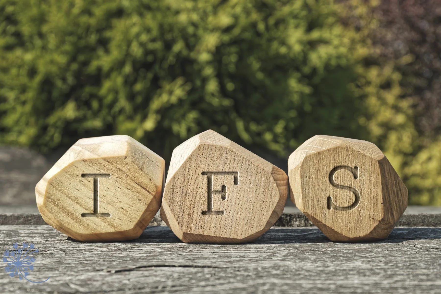 Wooden blocks spelling 'I', 'F', and 'S' on a weathered wooden surface with a blurred green forest background.