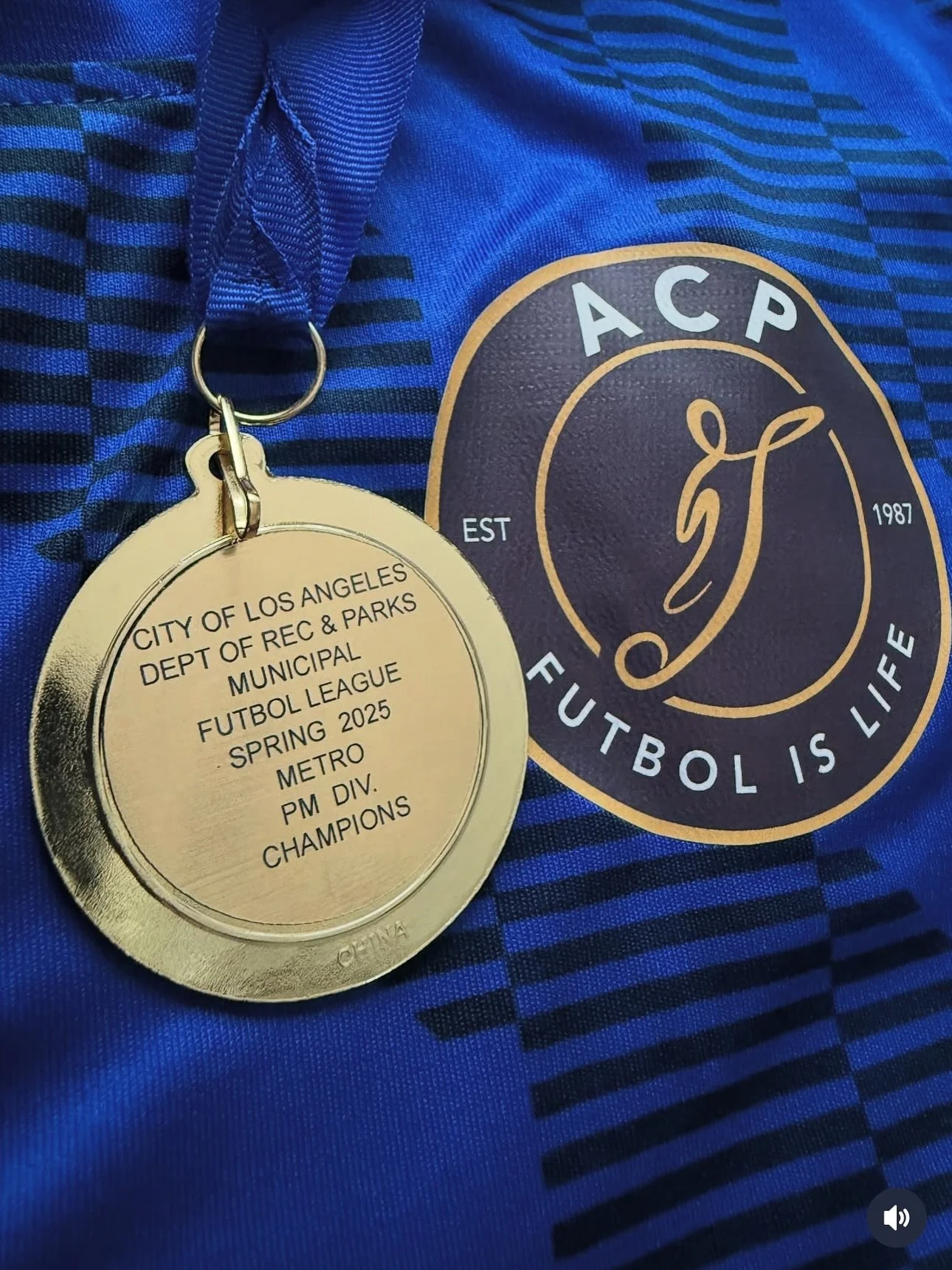 Congratulations to our champions of the Metro PM div: ACP Revolution 🏆 🥇 
Time to conquer Super Metro division.
.
⚠️ Do you want to play in LA&rsquo;s top competitive social soccer club? This is your chance. Sign up for tryouts 🔗 link in bio.