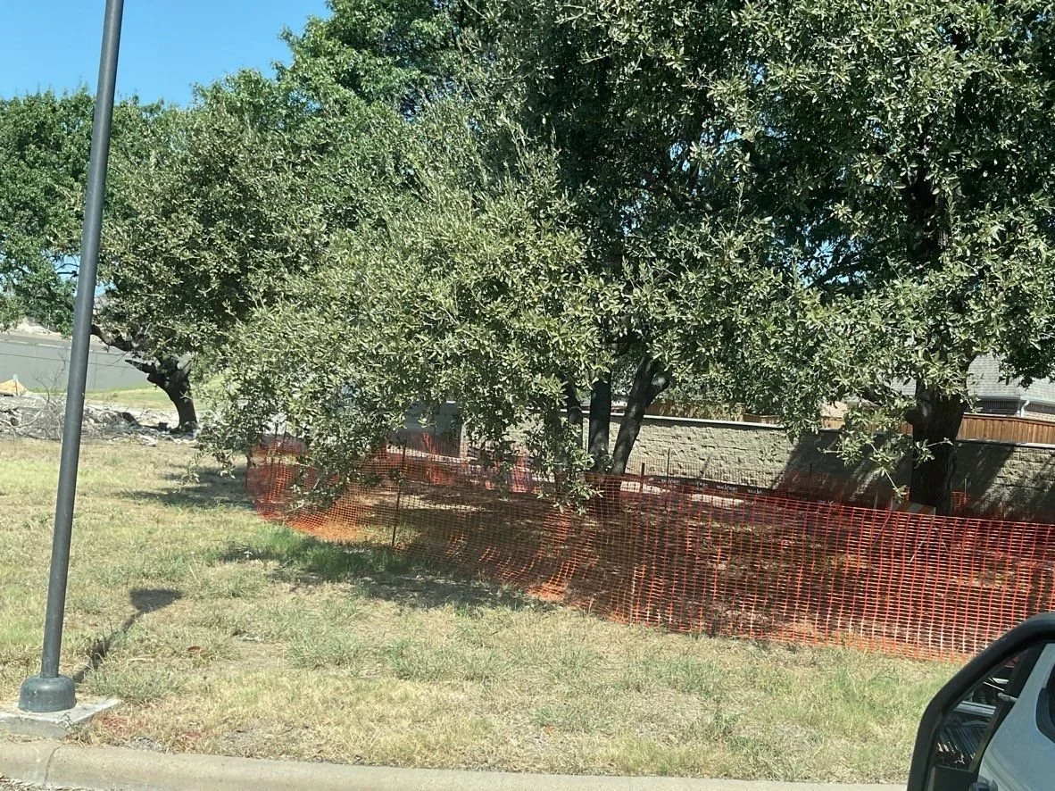 Tree Protection