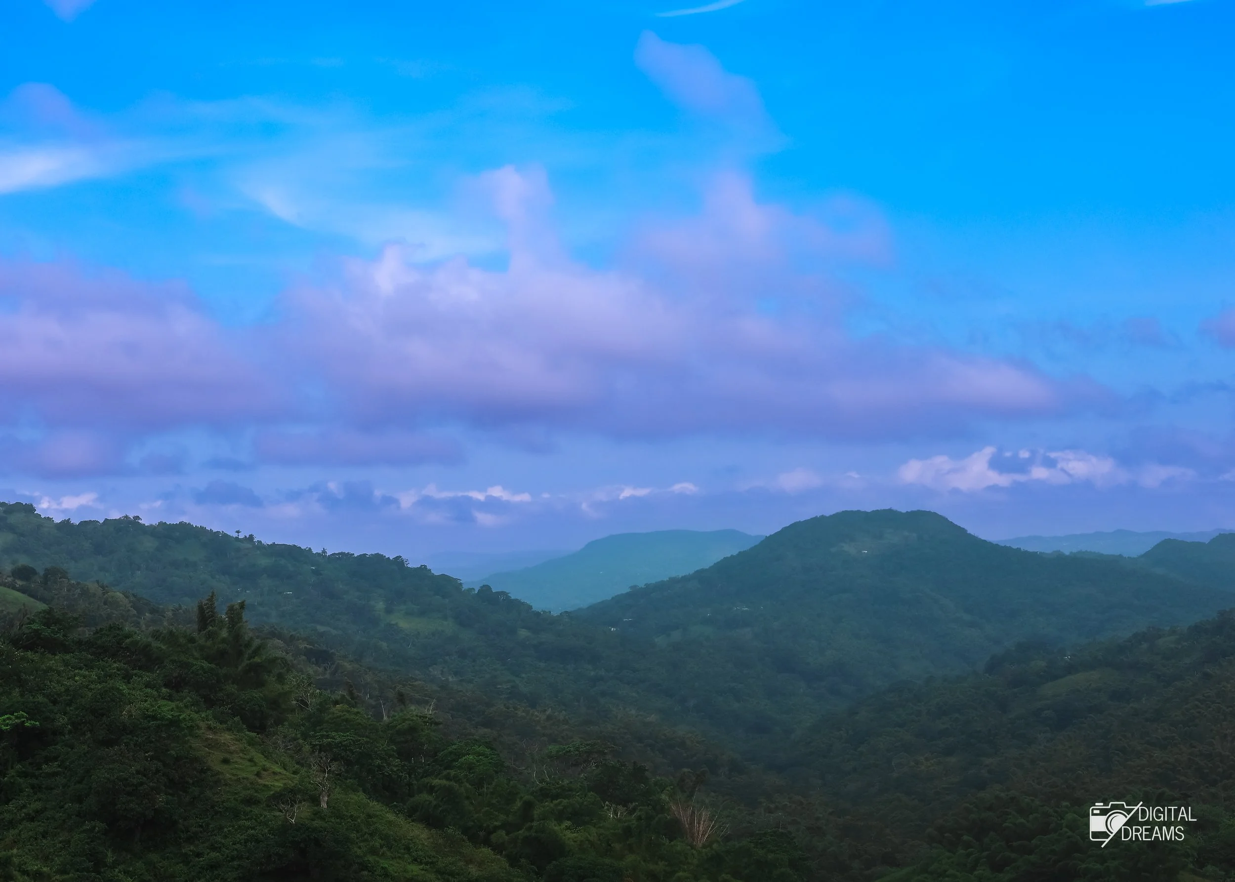 Nature & Landscape Photography