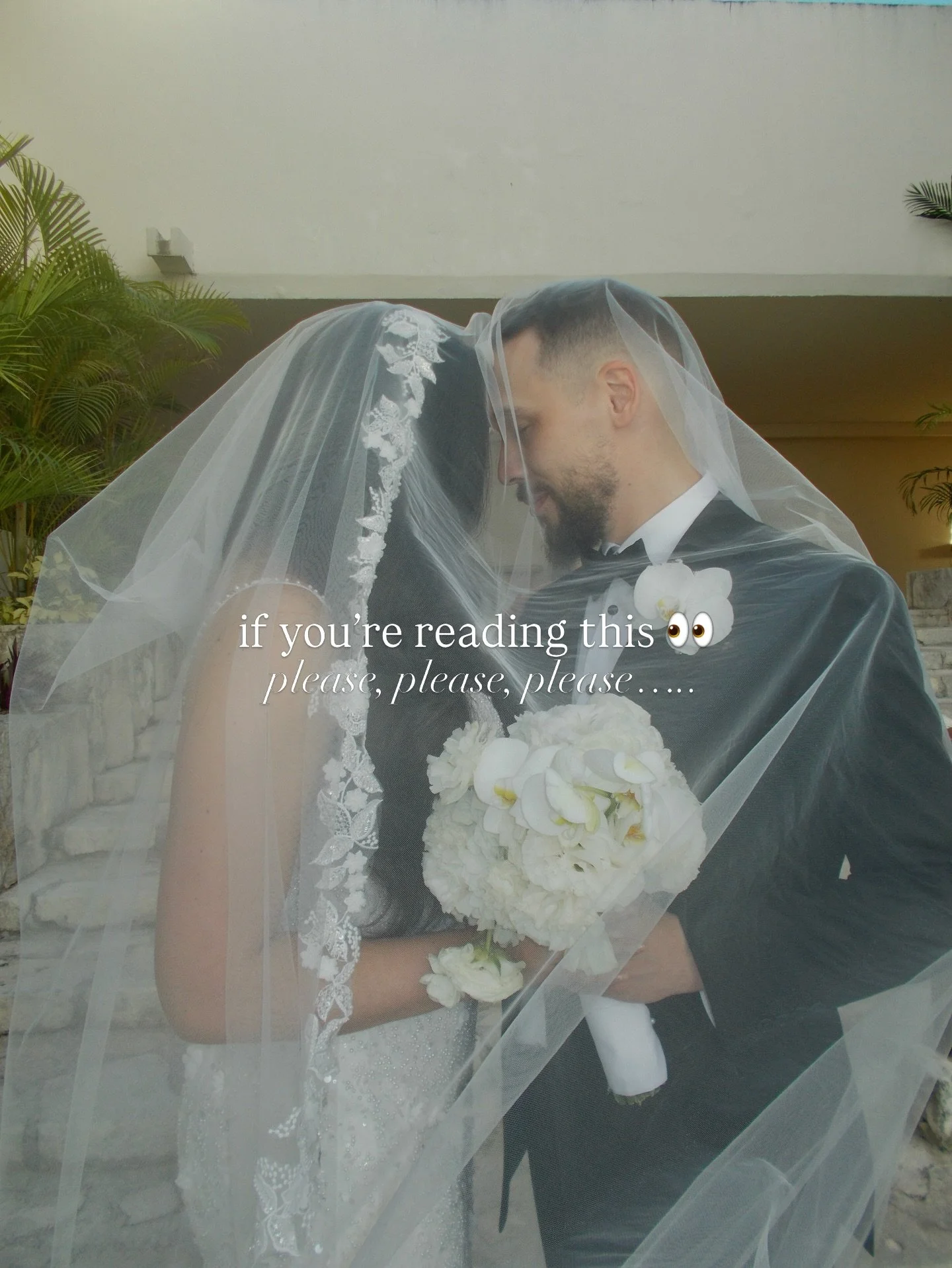 PSA because this keeps happening 😭 a LOT of our replies to your inquiries (sent through our website/Squarespace) are ending up in spam!!!! 

this week alone, I had four emails saying &ldquo;I&rsquo;m so sorry, your response went to spam!!&rdquo;

So