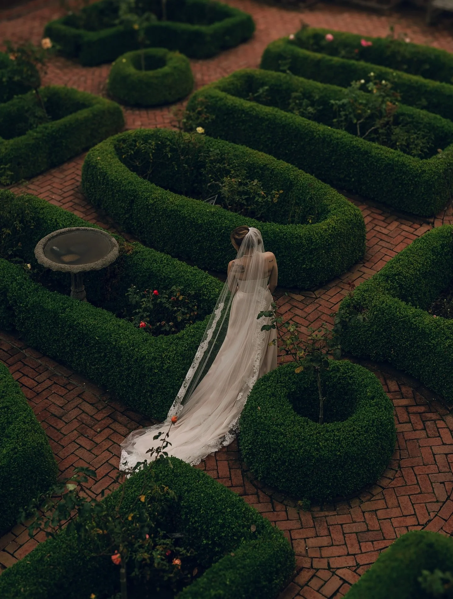 The most perfect West Coast wedding day with Rachel &amp; Robert. 

@ourstorycreative 
@kohlmansionevents 
@shelleyannevents 
@dj_mortay 
@yasminephotographyyy