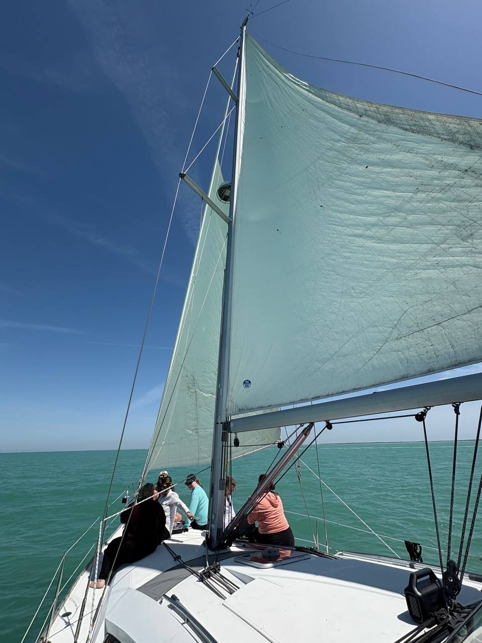 image1 (2).jpeg