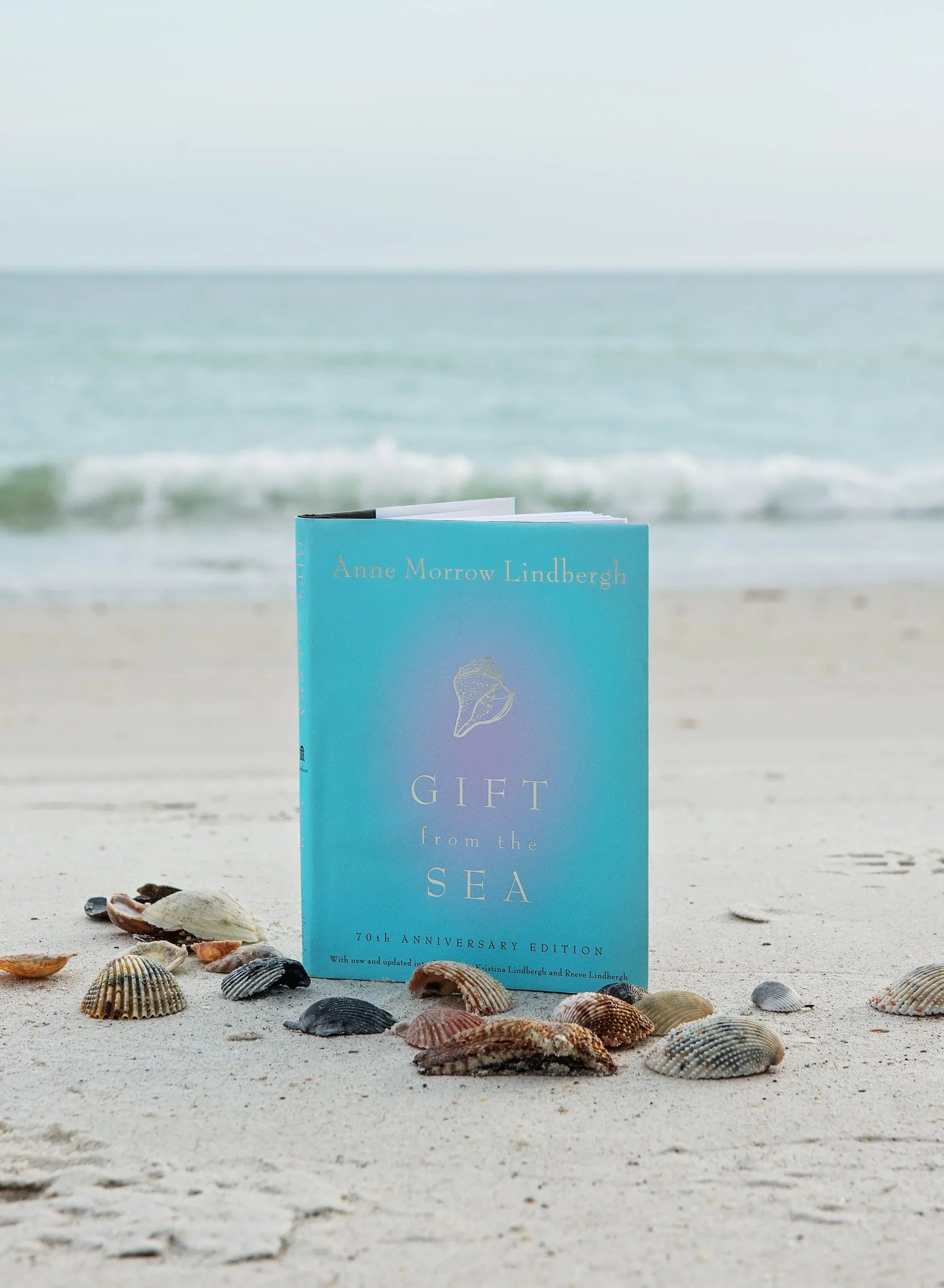 The Gift from the Sea Virtual Book Club Voyage + All-Inclusive Sailing Adventure in Madeira Beach, Florida
